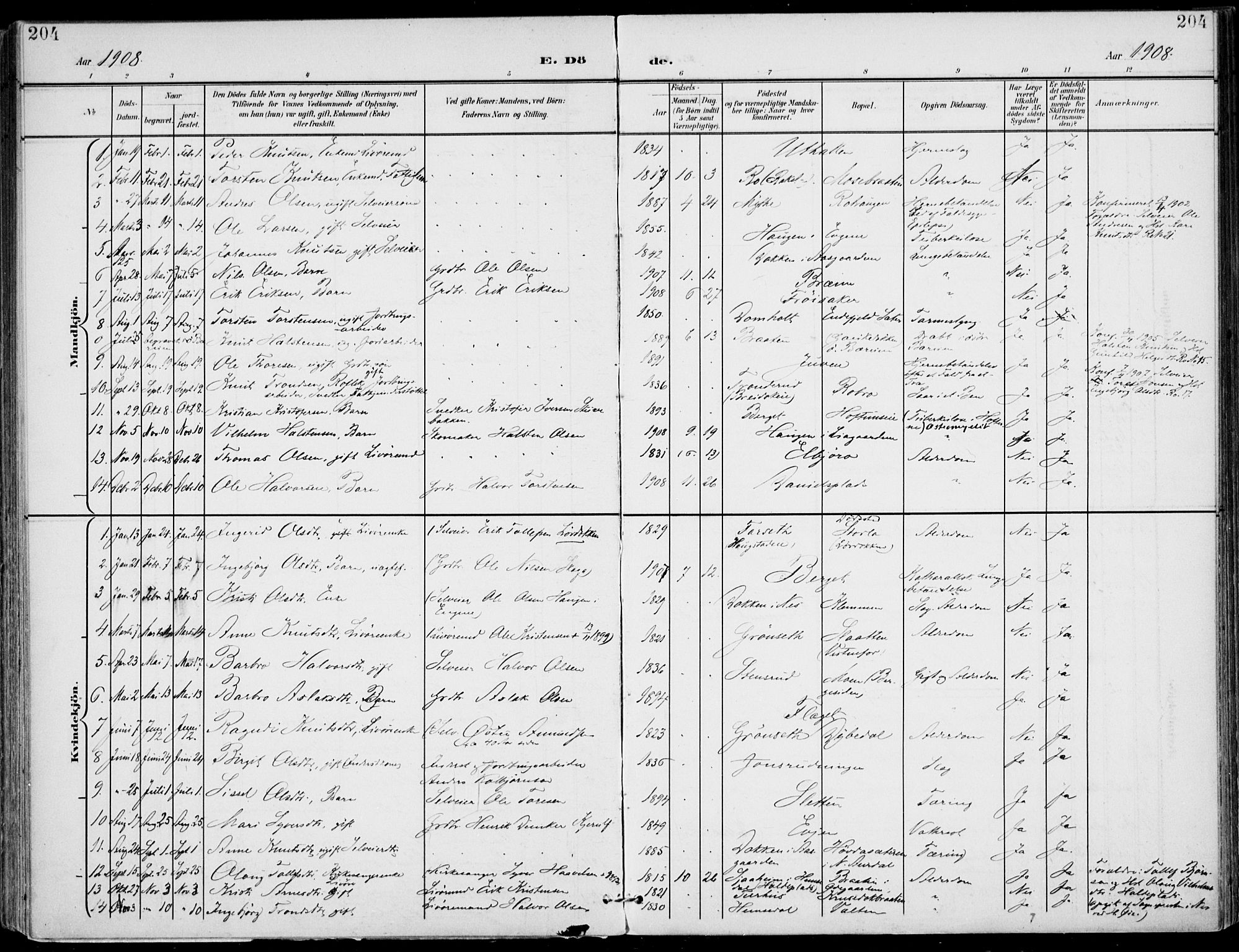Gol kirkebøker, SAKO/A-226/F/Fa/L0006: Parish register (official) no. I 6, 1901-1918, p. 204