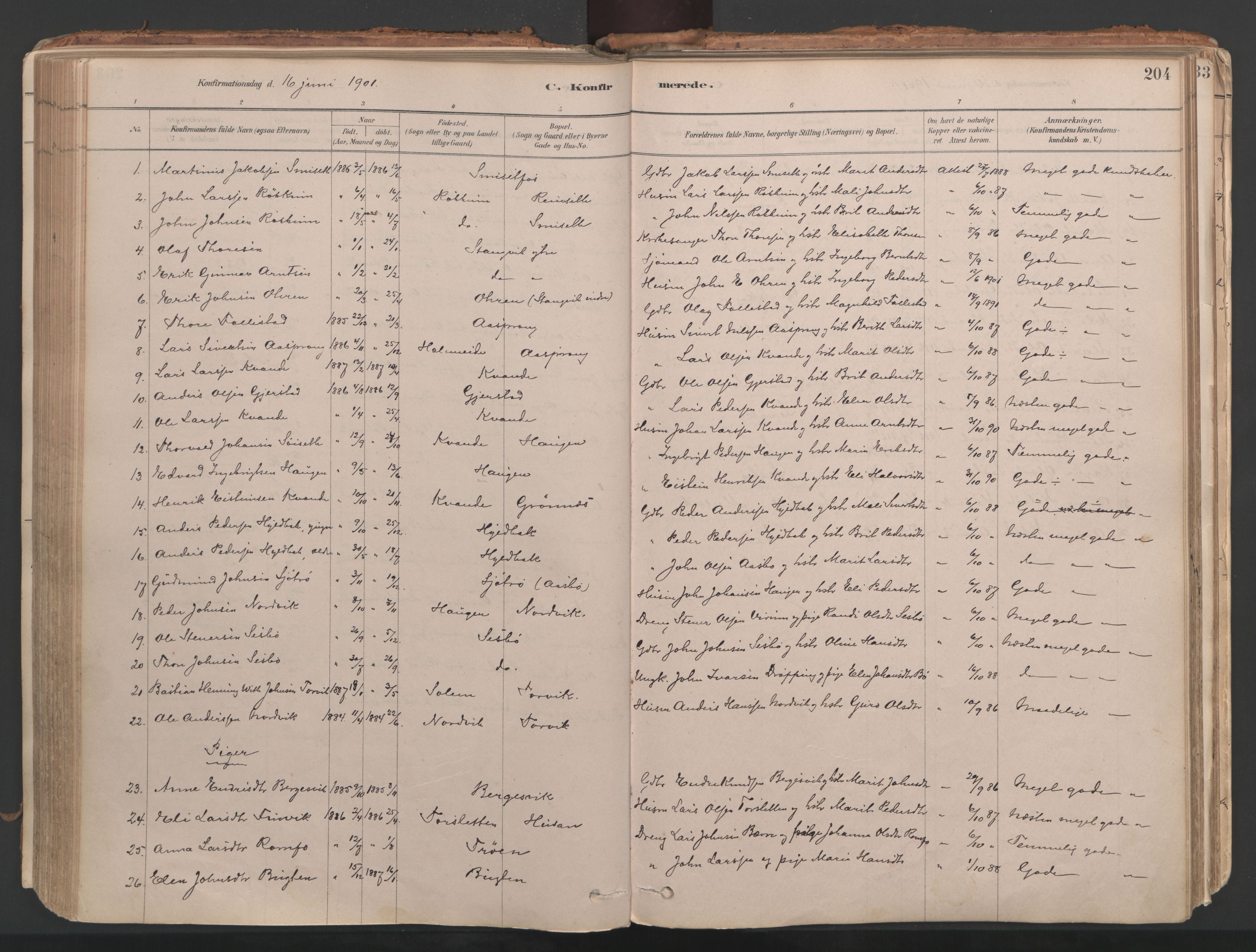 Ministerialprotokoller, klokkerbøker og fødselsregistre - Møre og Romsdal, AV/SAT-A-1454/592/L1029: Parish register (official) no. 592A07, 1879-1902, p. 204