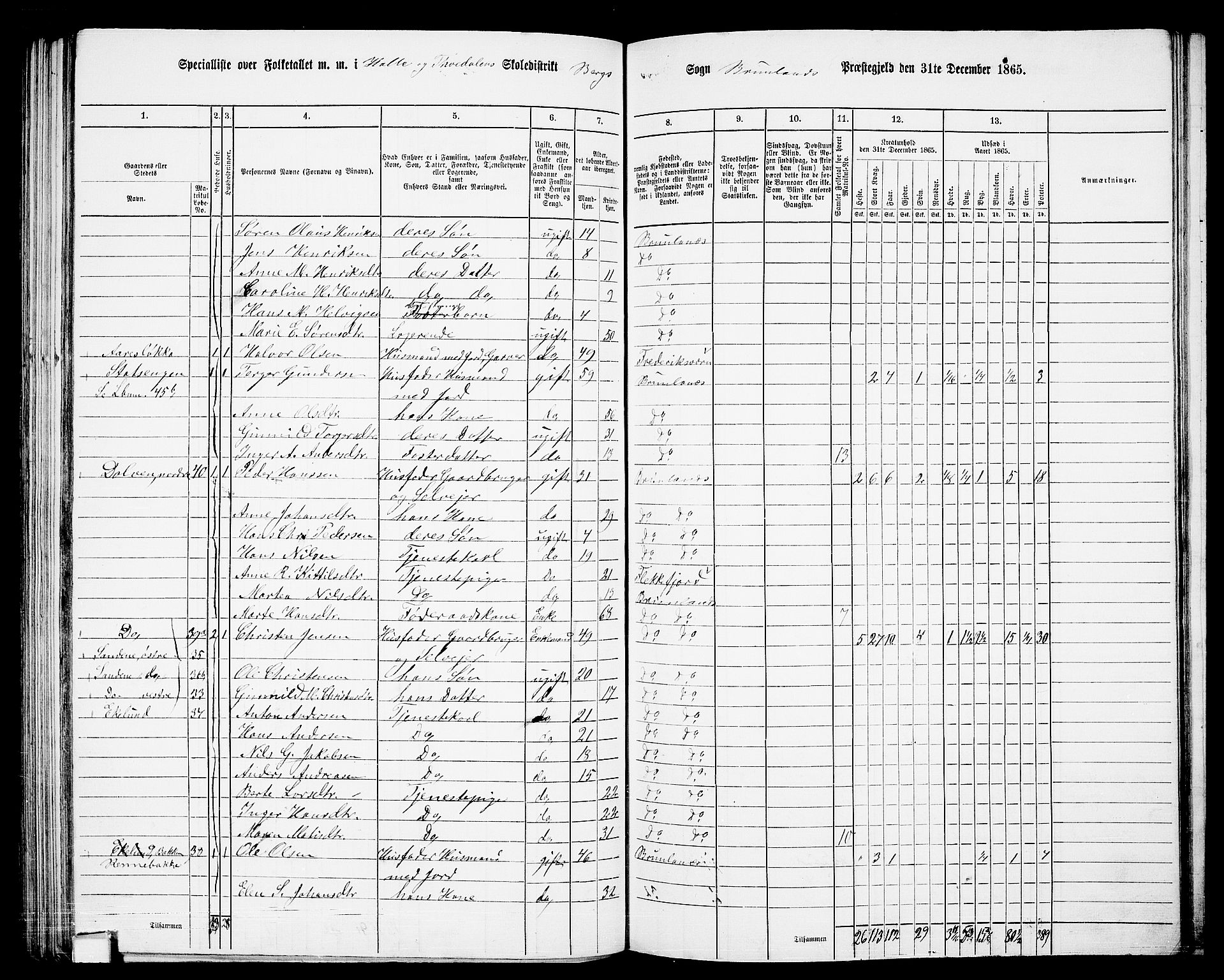 RA, 1865 census for Brunlanes, 1865, p. 111