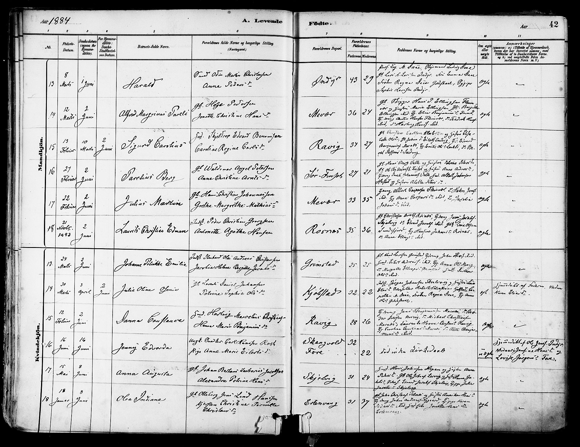 Ministerialprotokoller, klokkerbøker og fødselsregistre - Nordland, AV/SAT-A-1459/805/L0099: Parish register (official) no. 805A06, 1880-1891, p. 42