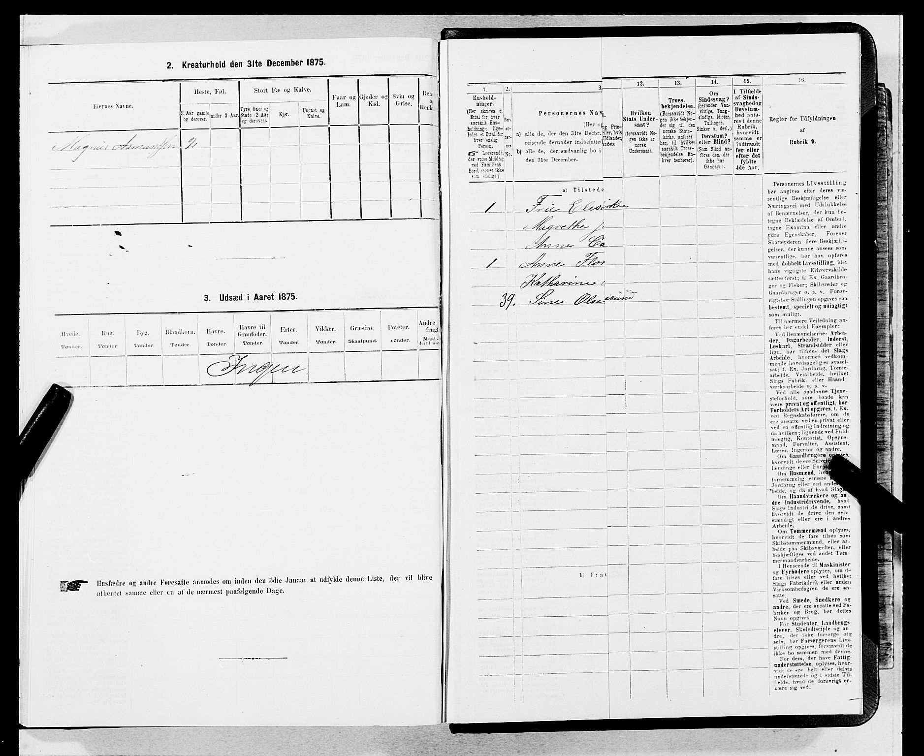 SAB, 1875 census for 1301 Bergen, 1875, p. 3598