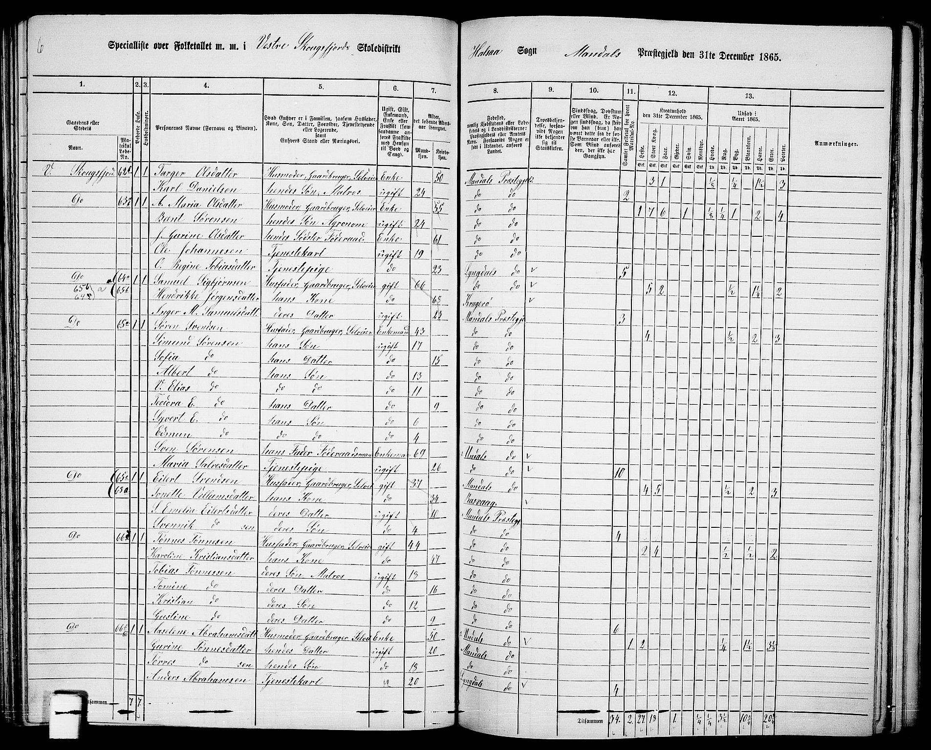 RA, 1865 census for Mandal/Halse og Harkmark, 1865, p. 91