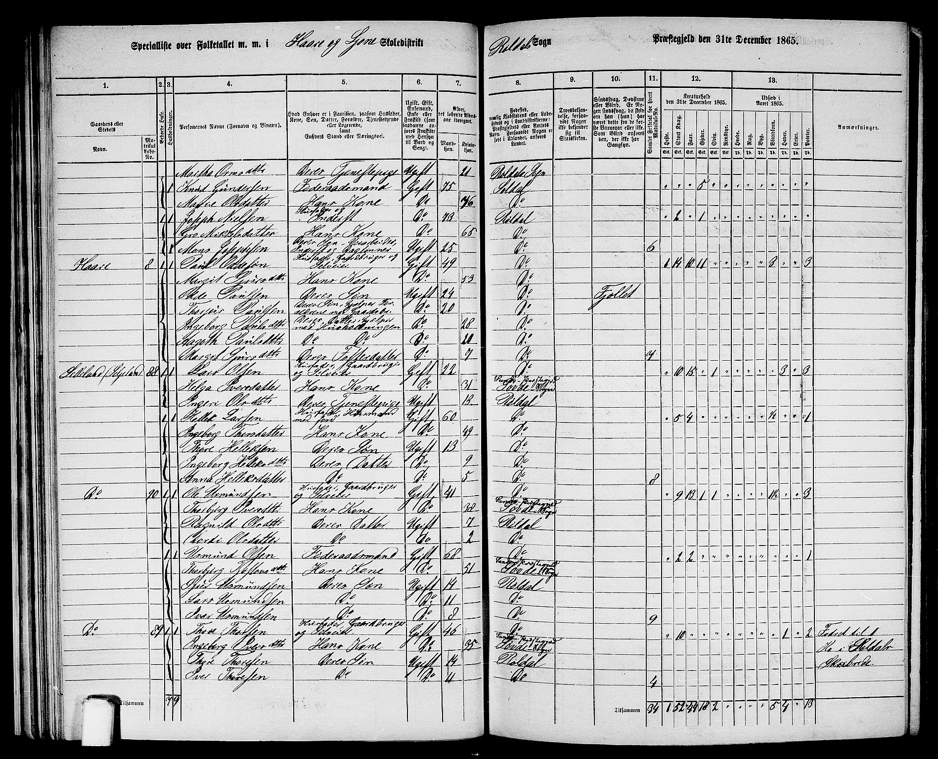 RA, 1865 census for Suldal, 1865, p. 164