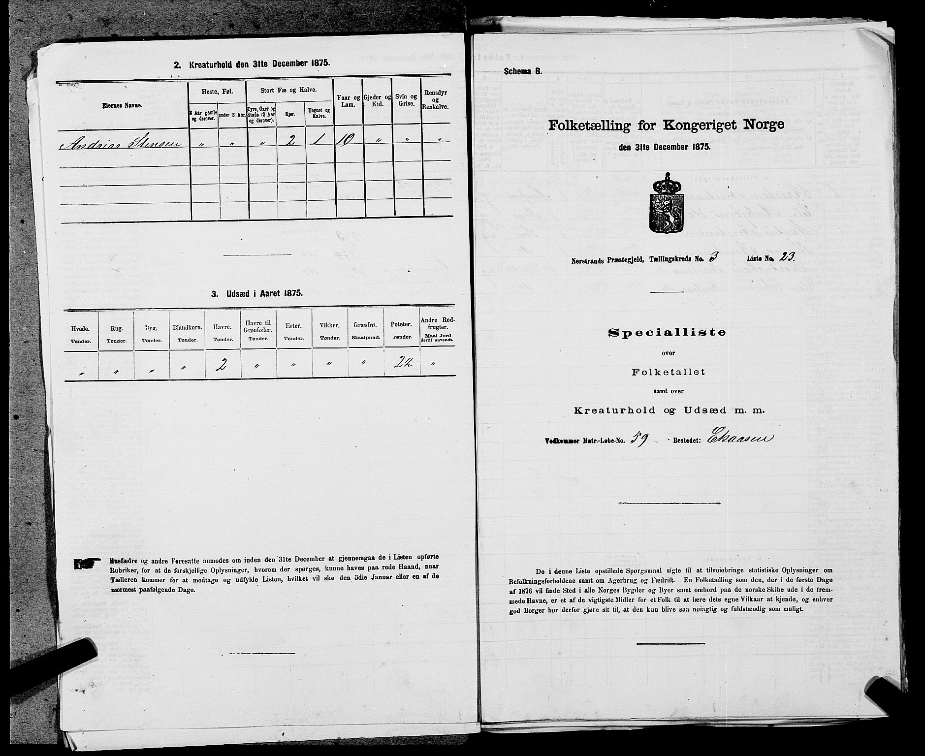 SAST, 1875 census for 1139P Nedstrand, 1875, p. 489