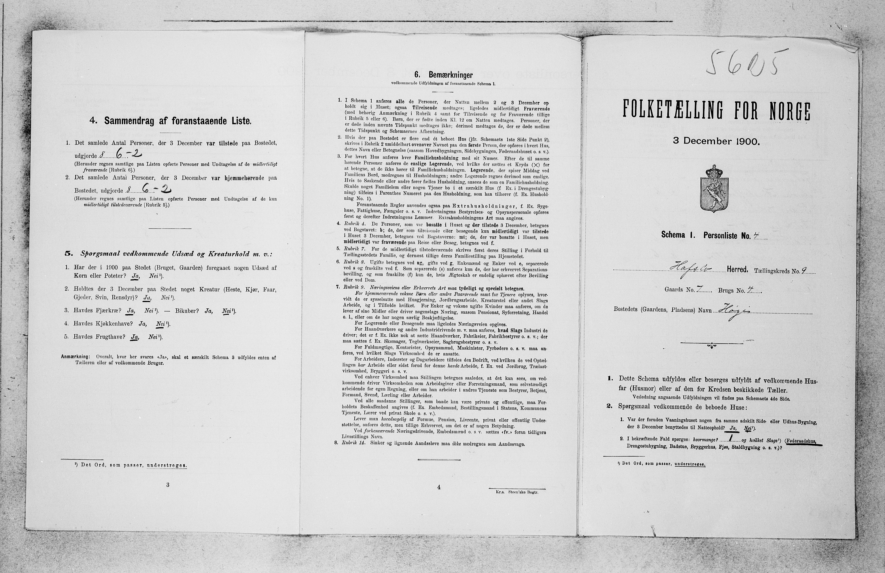 SAB, 1900 census for Hafslo, 1900, p. 946