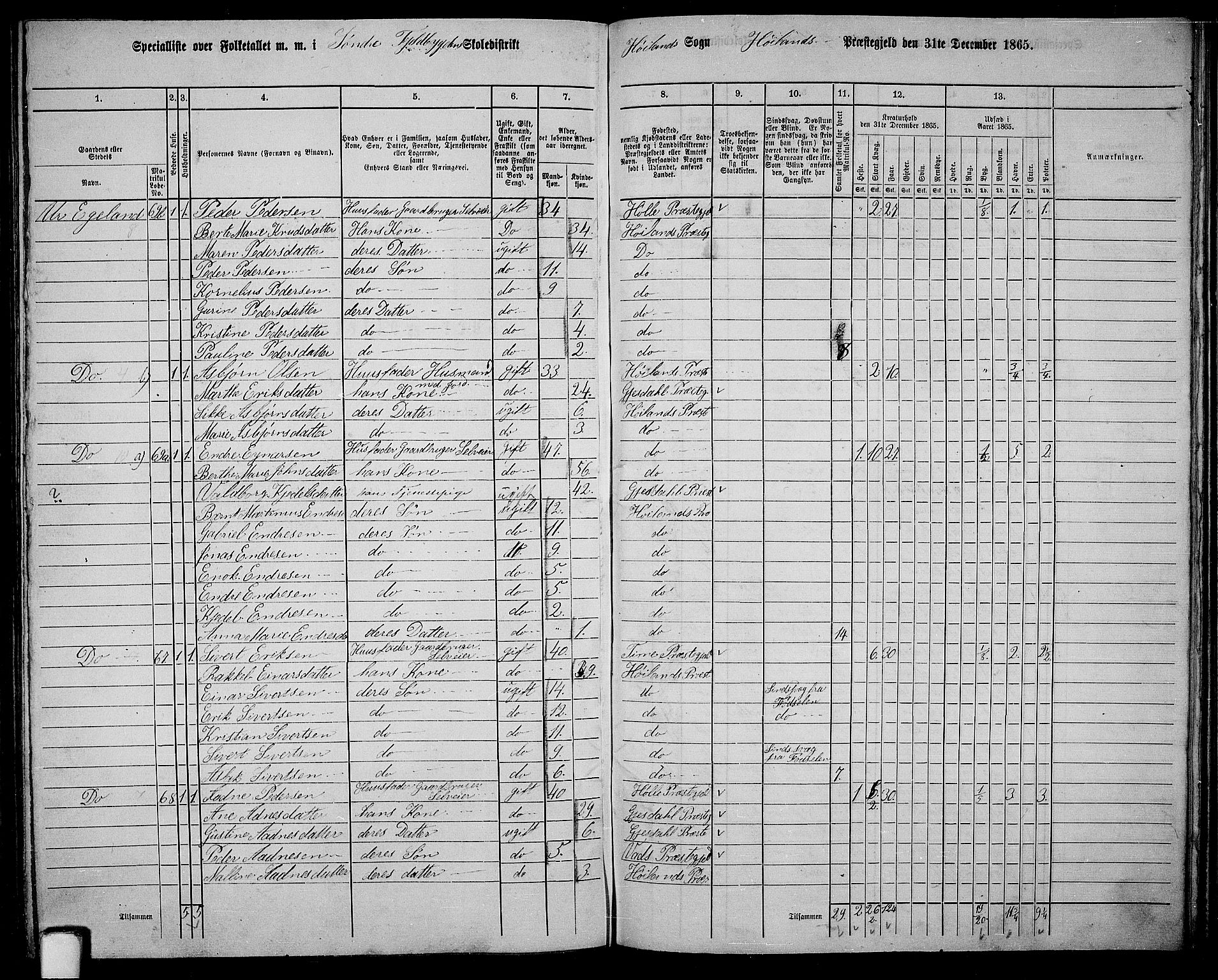 RA, 1865 census for Høyland, 1865, p. 110