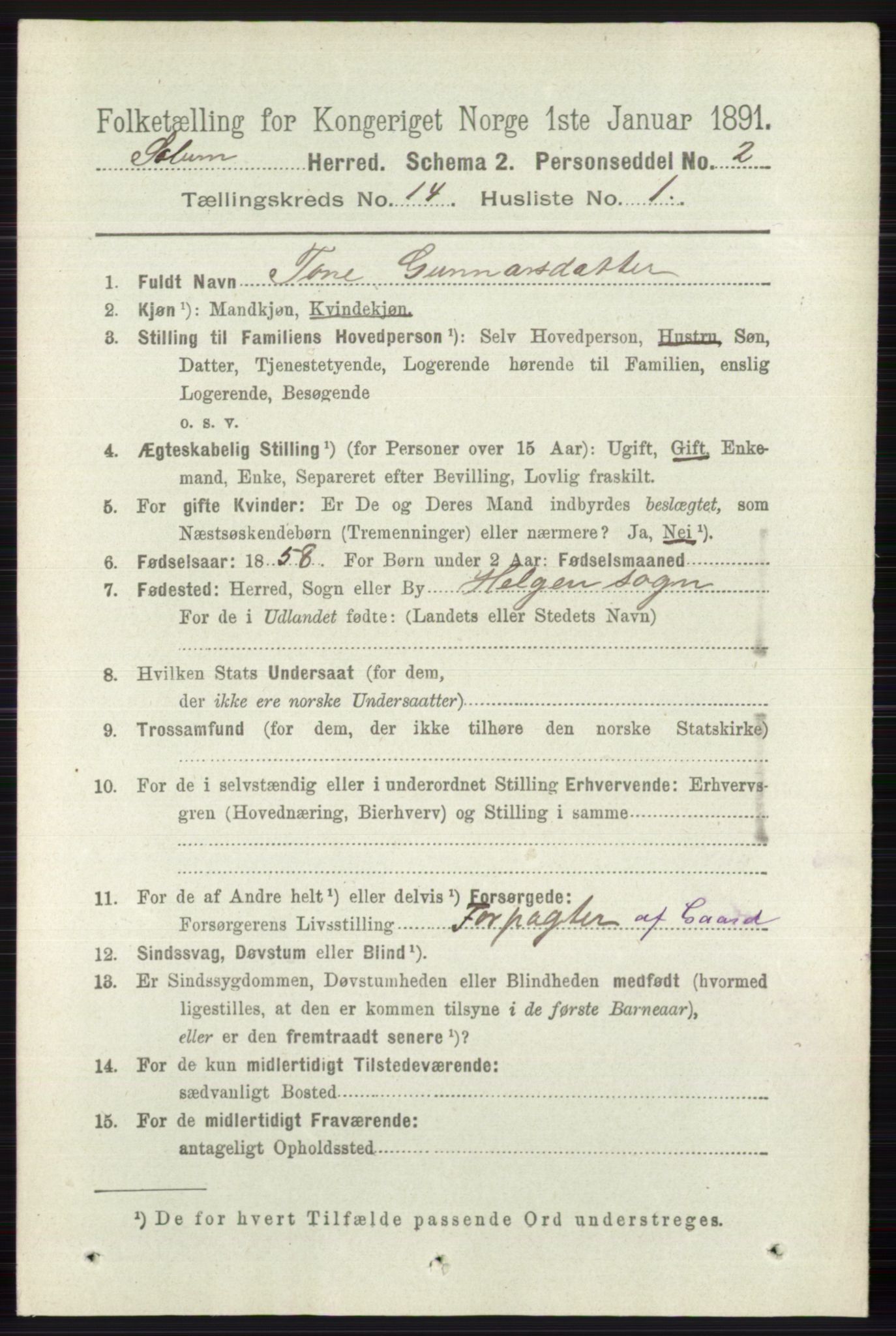 RA, 1891 census for 0818 Solum, 1891, p. 6362