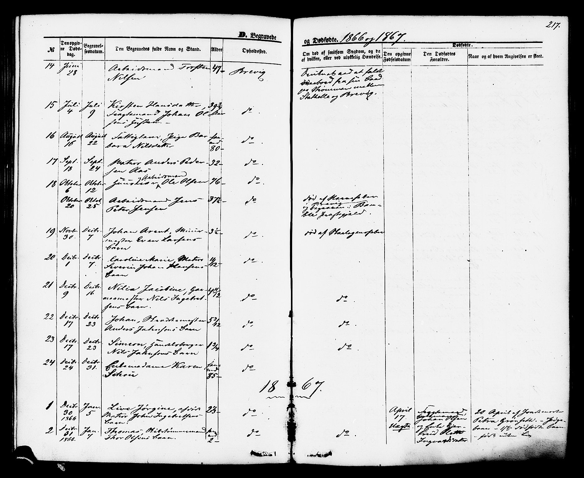 Brevik kirkebøker, SAKO/A-255/F/Fa/L0006: Parish register (official) no. 6, 1866-1881, p. 217
