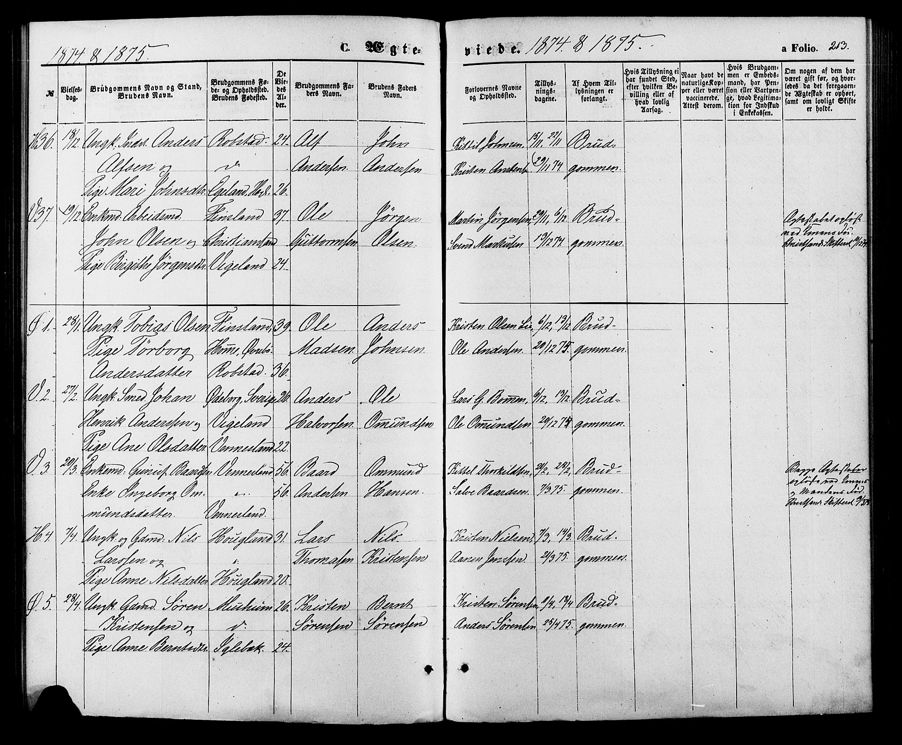 Vennesla sokneprestkontor, AV/SAK-1111-0045/Fa/Fac/L0008: Parish register (official) no. A 8, 1874-1883, p. 213