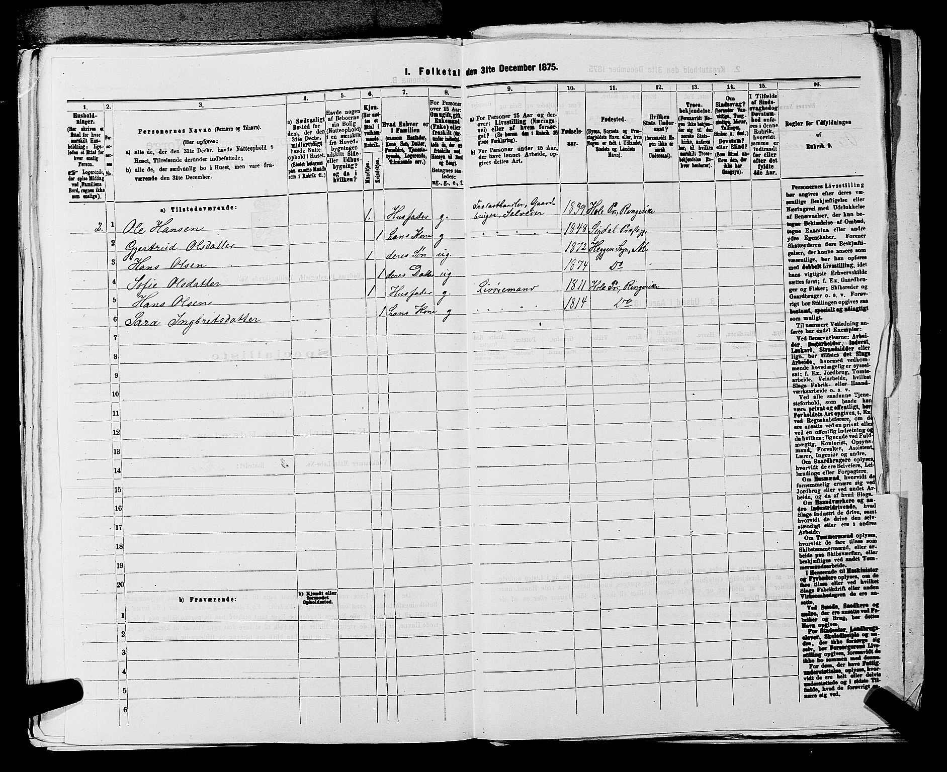 SAKO, 1875 census for 0623P Modum, 1875, p. 305