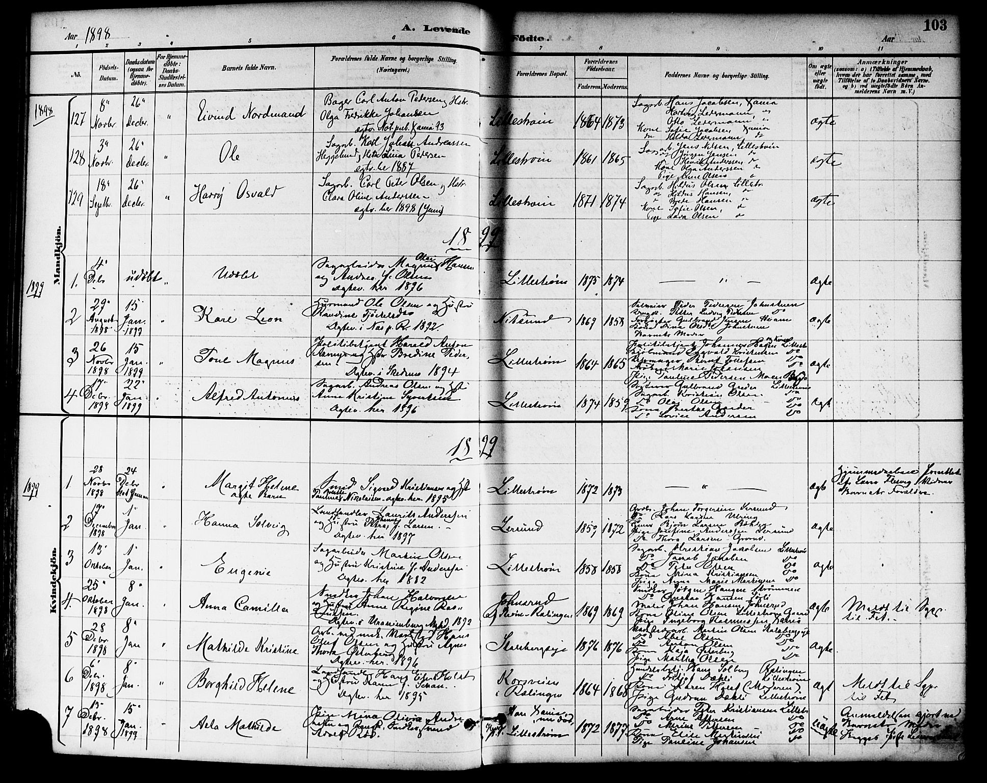 Skedsmo prestekontor Kirkebøker, SAO/A-10033a/F/Fa/L0014: Parish register (official) no. I 14, 1892-1901, p. 103