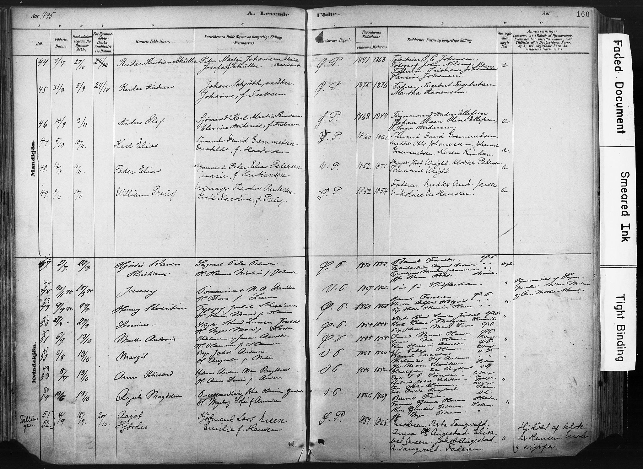 Porsgrunn kirkebøker , AV/SAKO-A-104/F/Fa/L0008: Parish register (official) no. 8, 1878-1895, p. 160