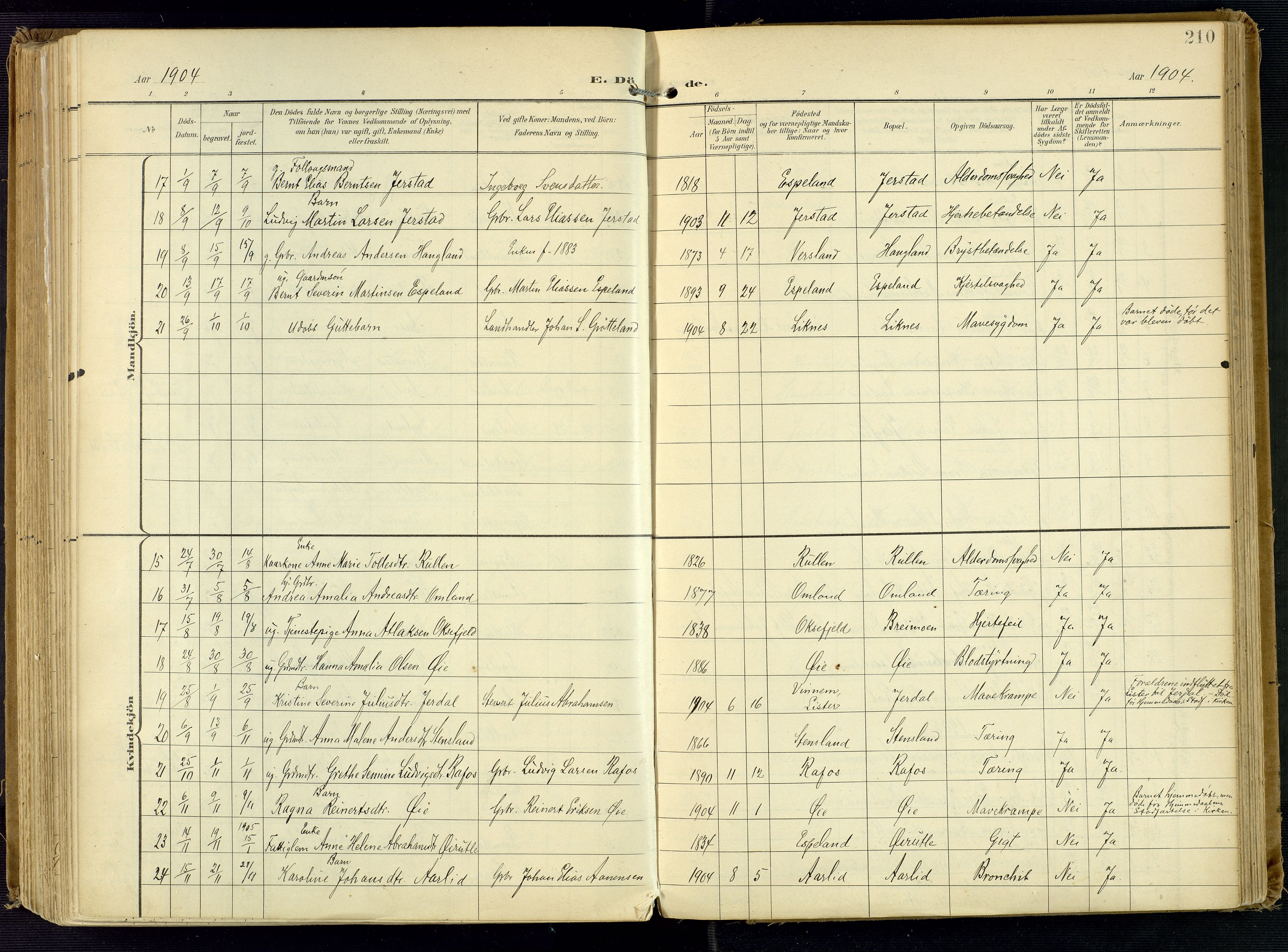 Kvinesdal sokneprestkontor, AV/SAK-1111-0026/F/Fa/Fab/L0009: Parish register (official) no. A 9, 1898-1915, p. 210