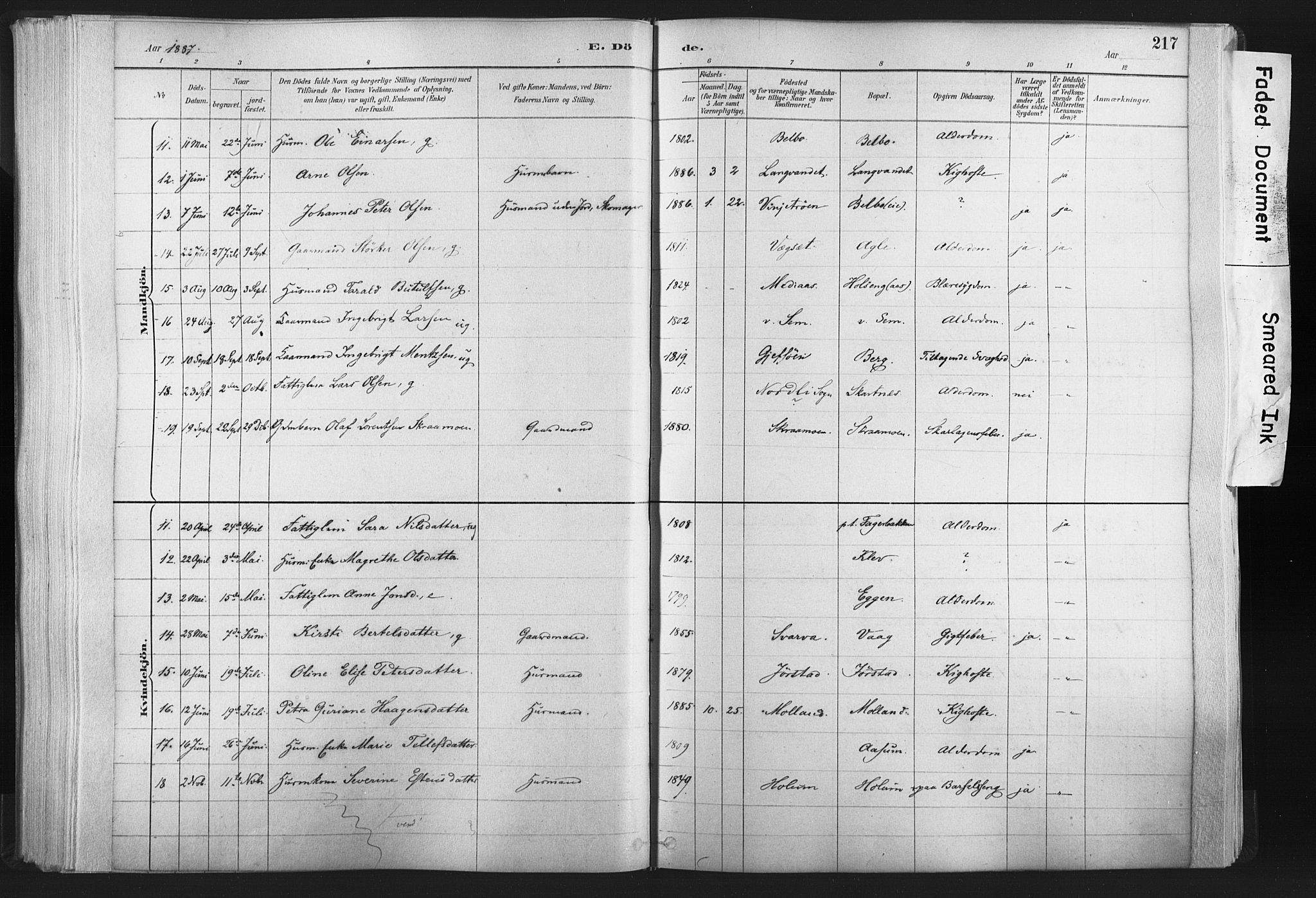 Ministerialprotokoller, klokkerbøker og fødselsregistre - Nord-Trøndelag, AV/SAT-A-1458/749/L0474: Parish register (official) no. 749A08, 1887-1903, p. 217