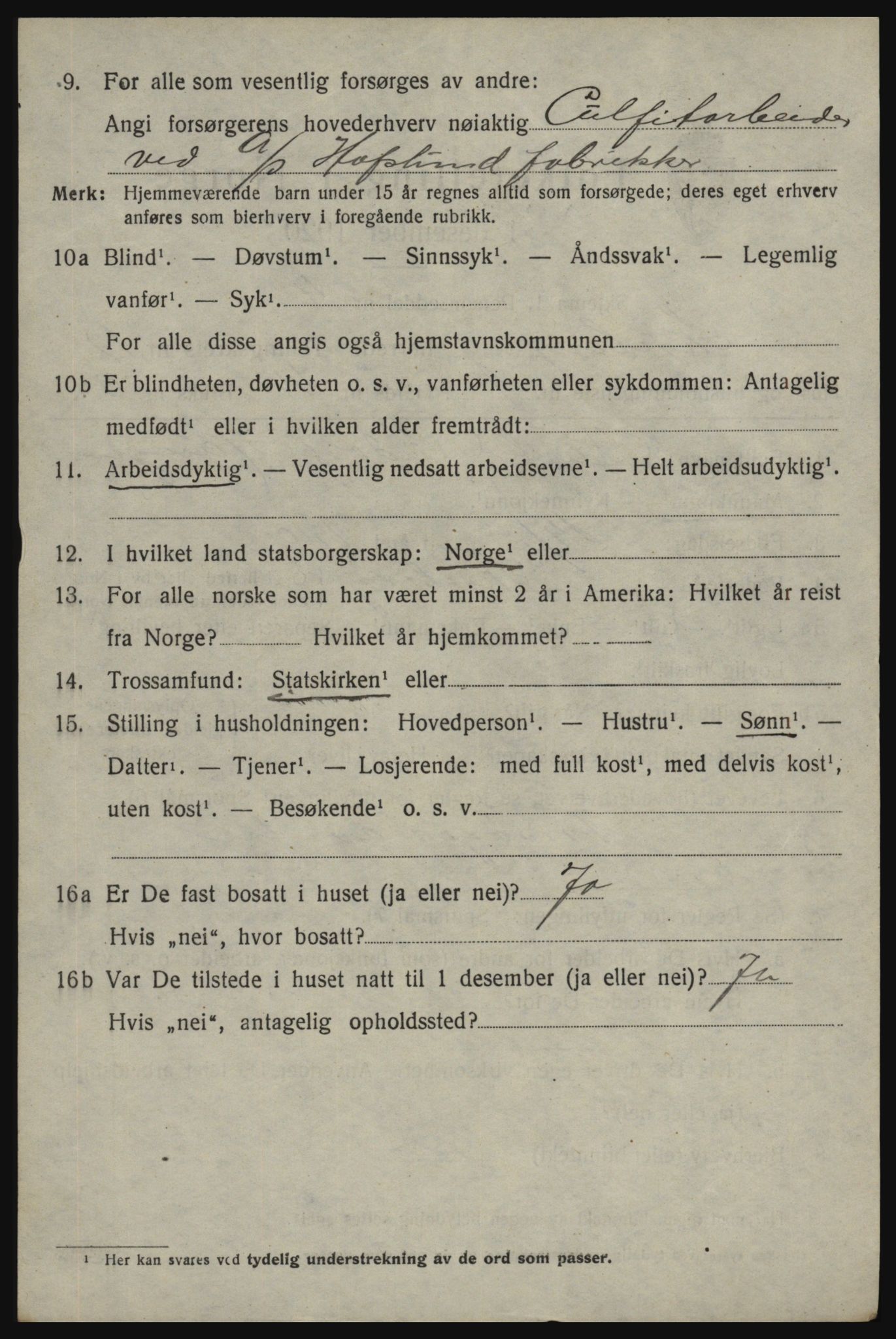 SAO, 1920 census for Skjeberg, 1920, p. 10200