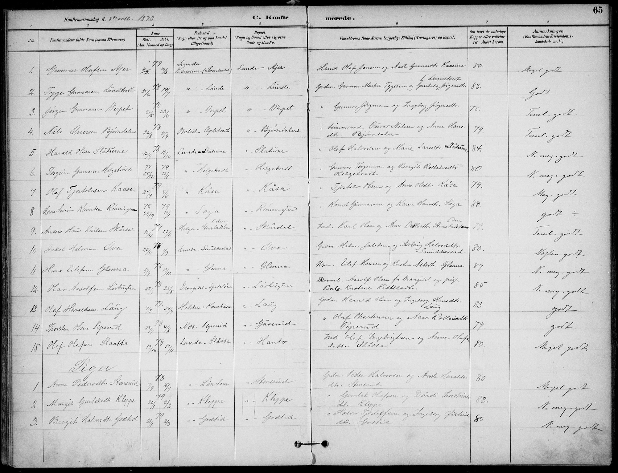 Lunde kirkebøker, SAKO/A-282/F/Fa/L0003: Parish register (official) no. I 3, 1893-1902, p. 65