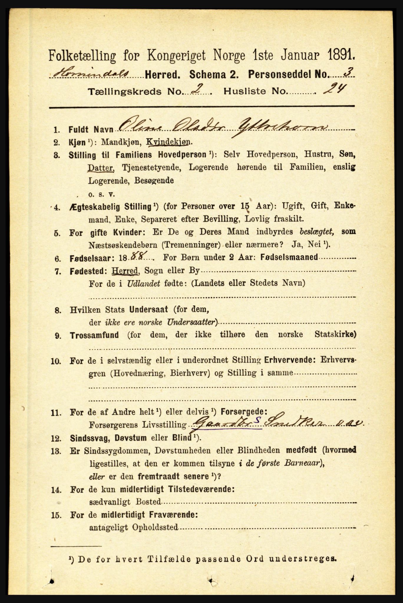 RA, 1891 census for 1444 Hornindal, 1891, p. 494