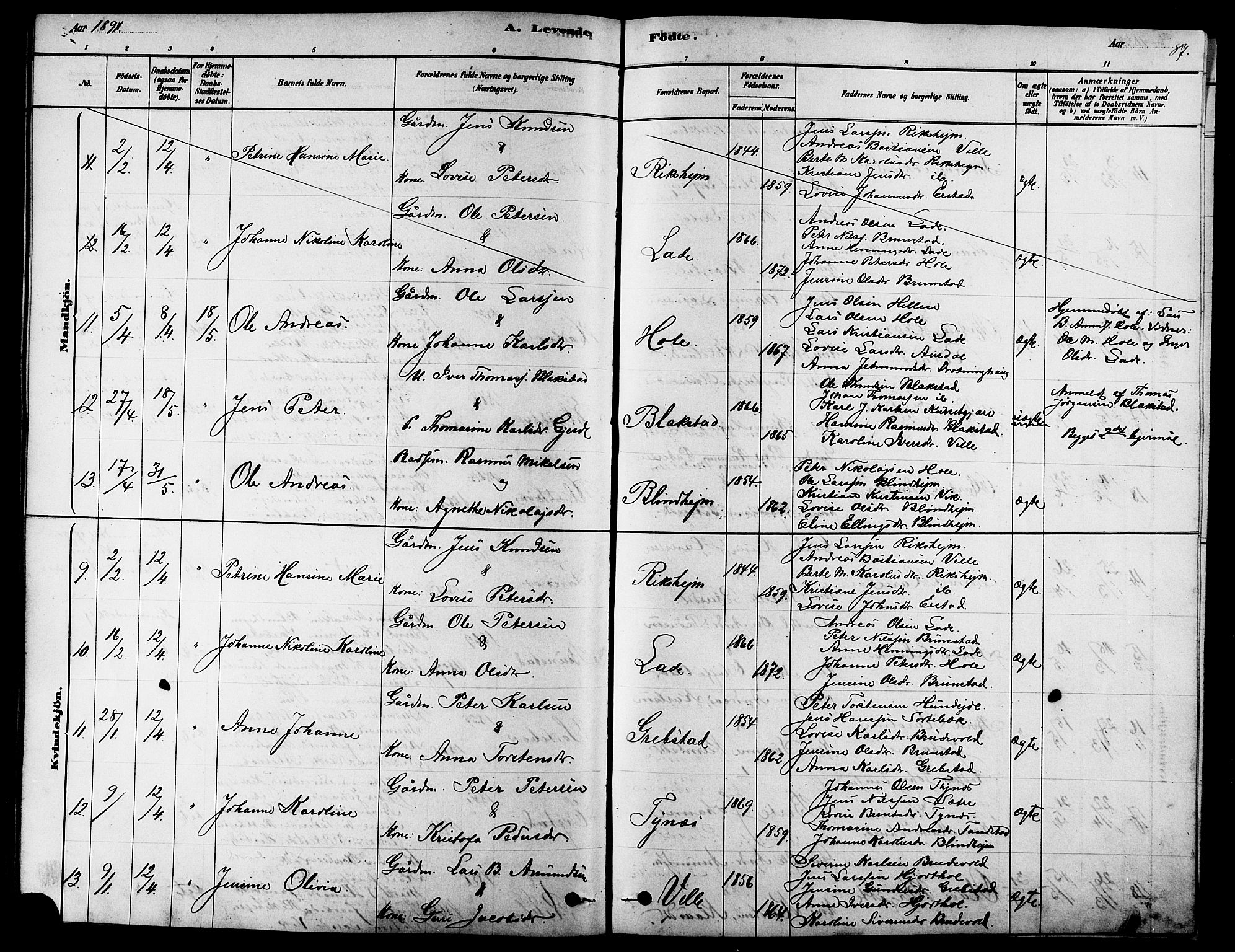 Ministerialprotokoller, klokkerbøker og fødselsregistre - Møre og Romsdal, AV/SAT-A-1454/523/L0339: Parish register (copy) no. 523C02, 1878-1891, p. 87