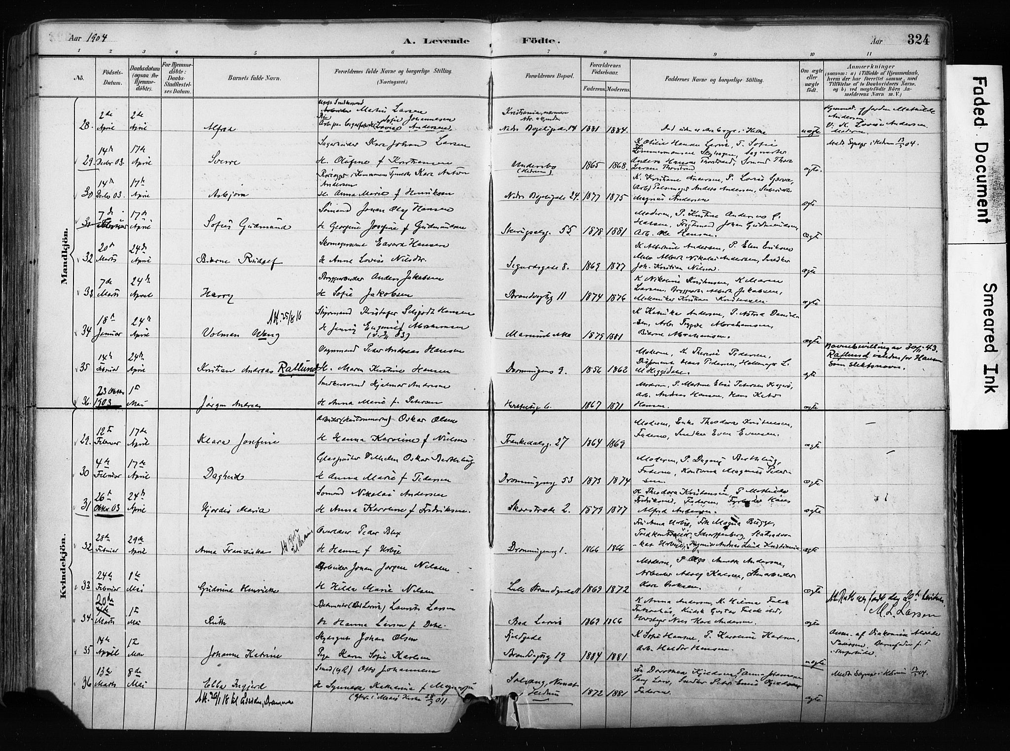 Larvik kirkebøker, AV/SAKO-A-352/F/Fa/L0009: Parish register (official) no. I 9, 1884-1904, p. 324