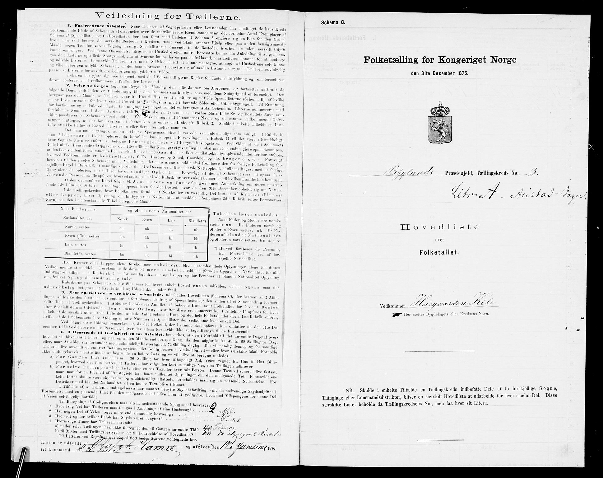 SAK, 1875 census for 0938P Bygland, 1875, p. 20