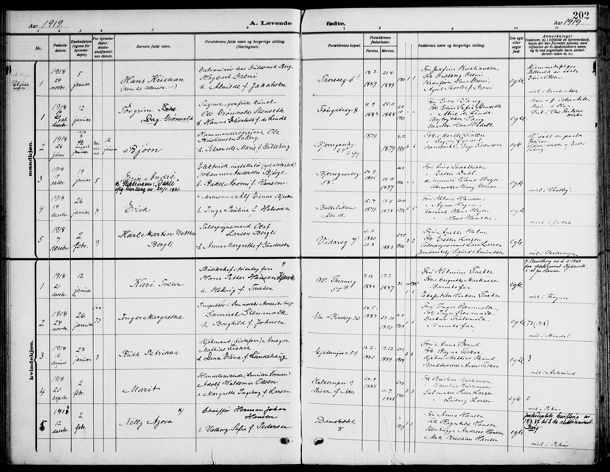 Gamle Aker prestekontor Kirkebøker, SAO/A-10617a/F/L0014: Parish register (official) no. 14, 1909-1924, p. 202