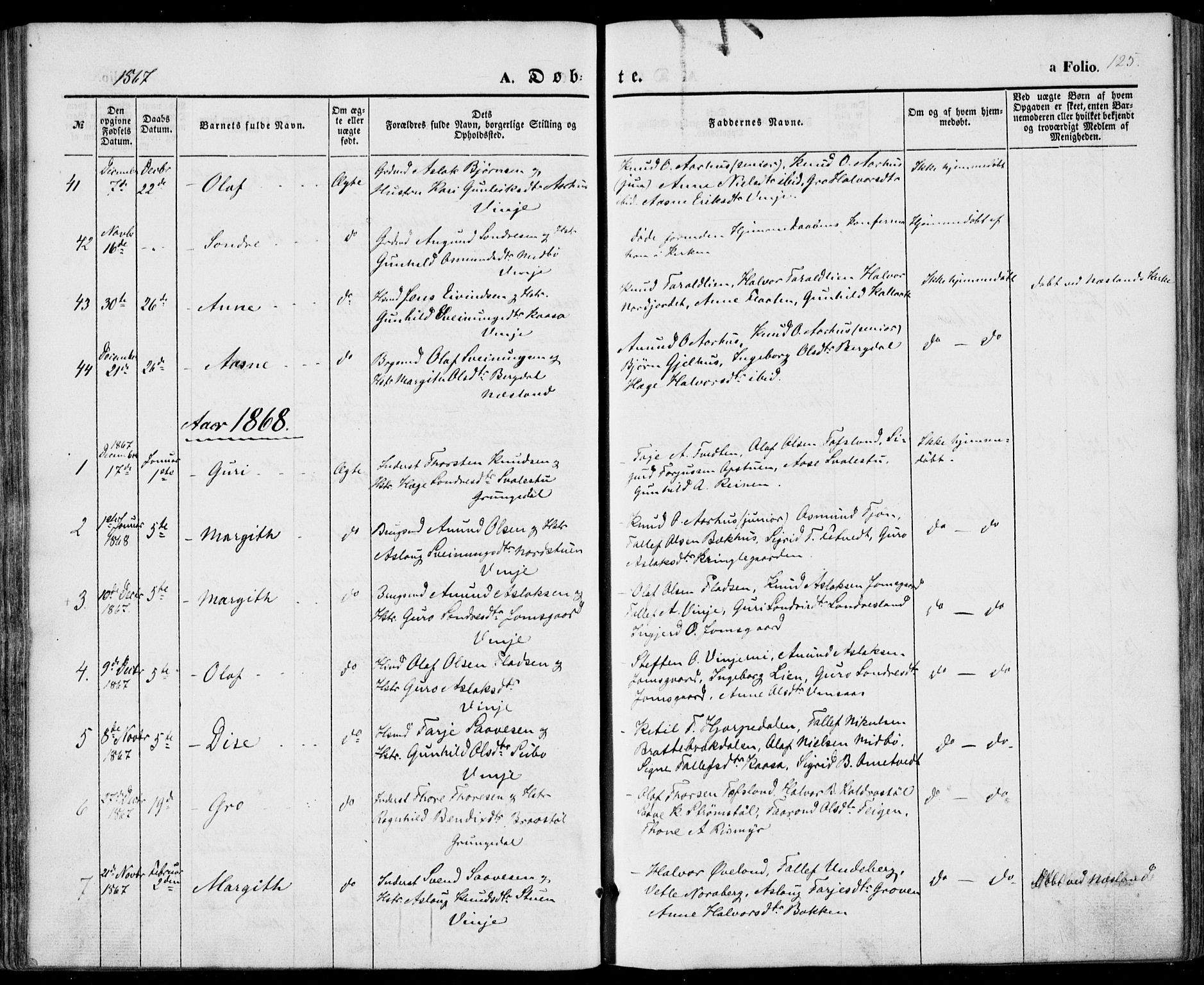 Vinje kirkebøker, SAKO/A-312/F/Fa/L0004: Parish register (official) no. I 4, 1843-1869, p. 125