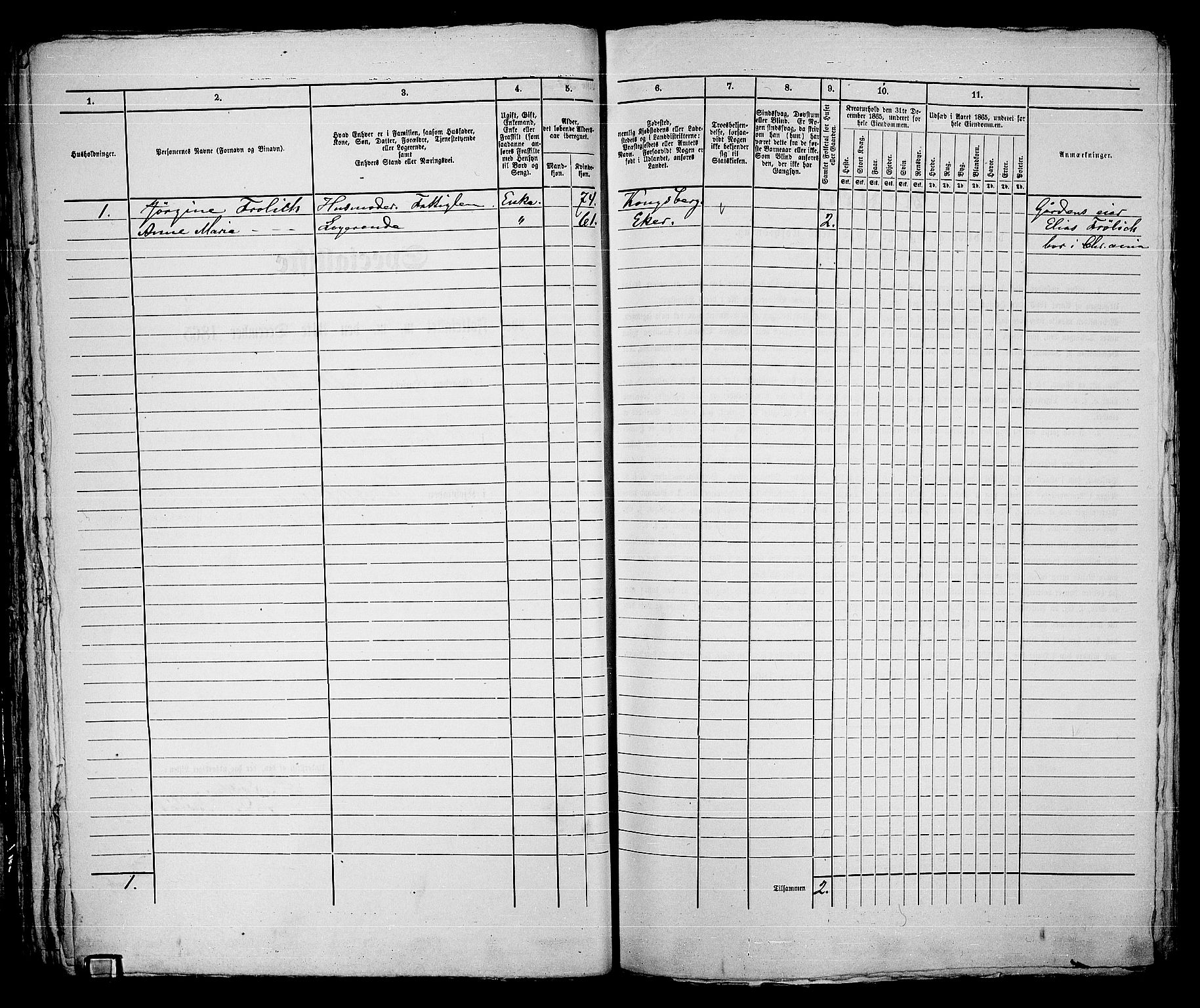 RA, 1865 census for Kongsberg/Kongsberg, 1865, p. 569