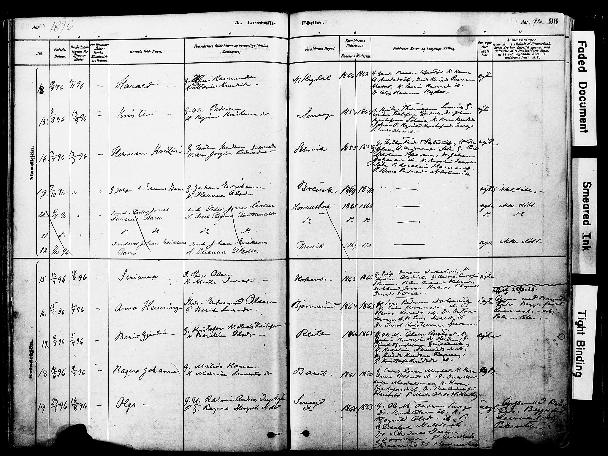 Ministerialprotokoller, klokkerbøker og fødselsregistre - Møre og Romsdal, AV/SAT-A-1454/560/L0721: Parish register (official) no. 560A05, 1878-1917, p. 96