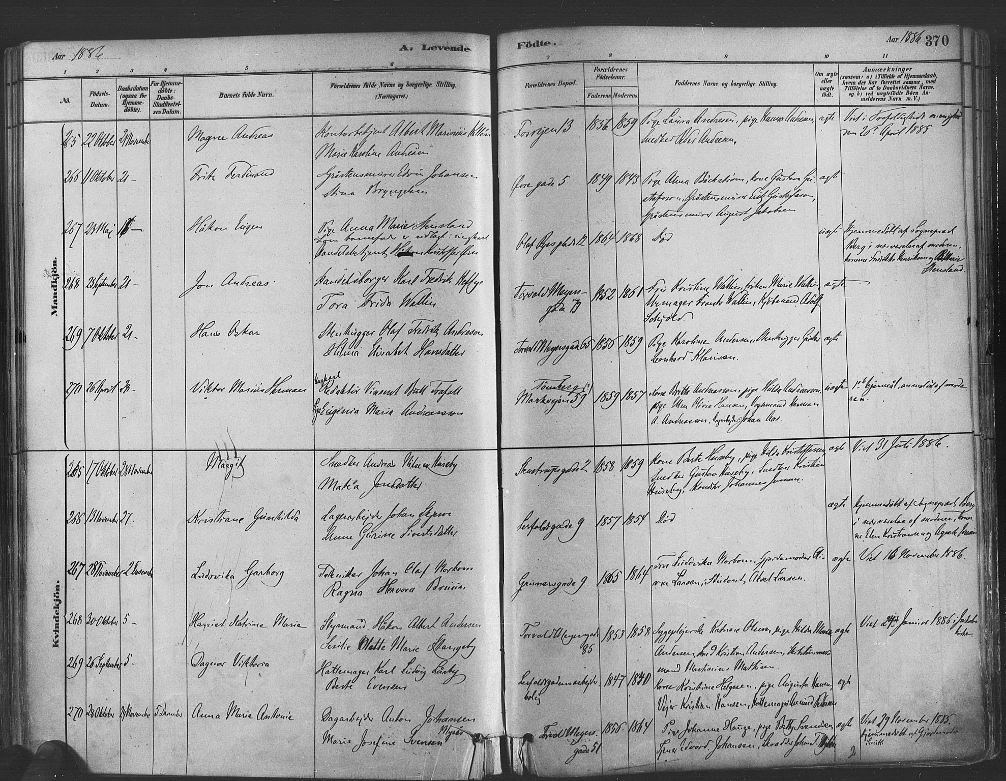 Paulus prestekontor Kirkebøker, AV/SAO-A-10871/F/Fa/L0003: Parish register (official) no. 3, 1879-1887, p. 370