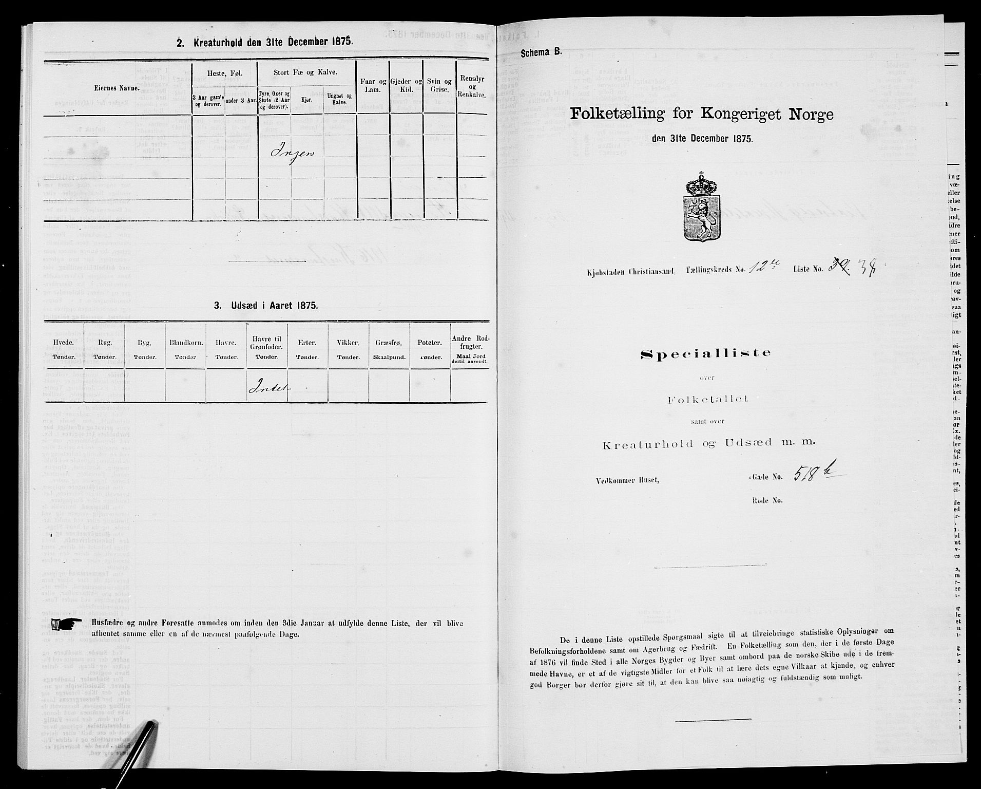SAK, 1875 census for 1001P Kristiansand, 1875, p. 2004