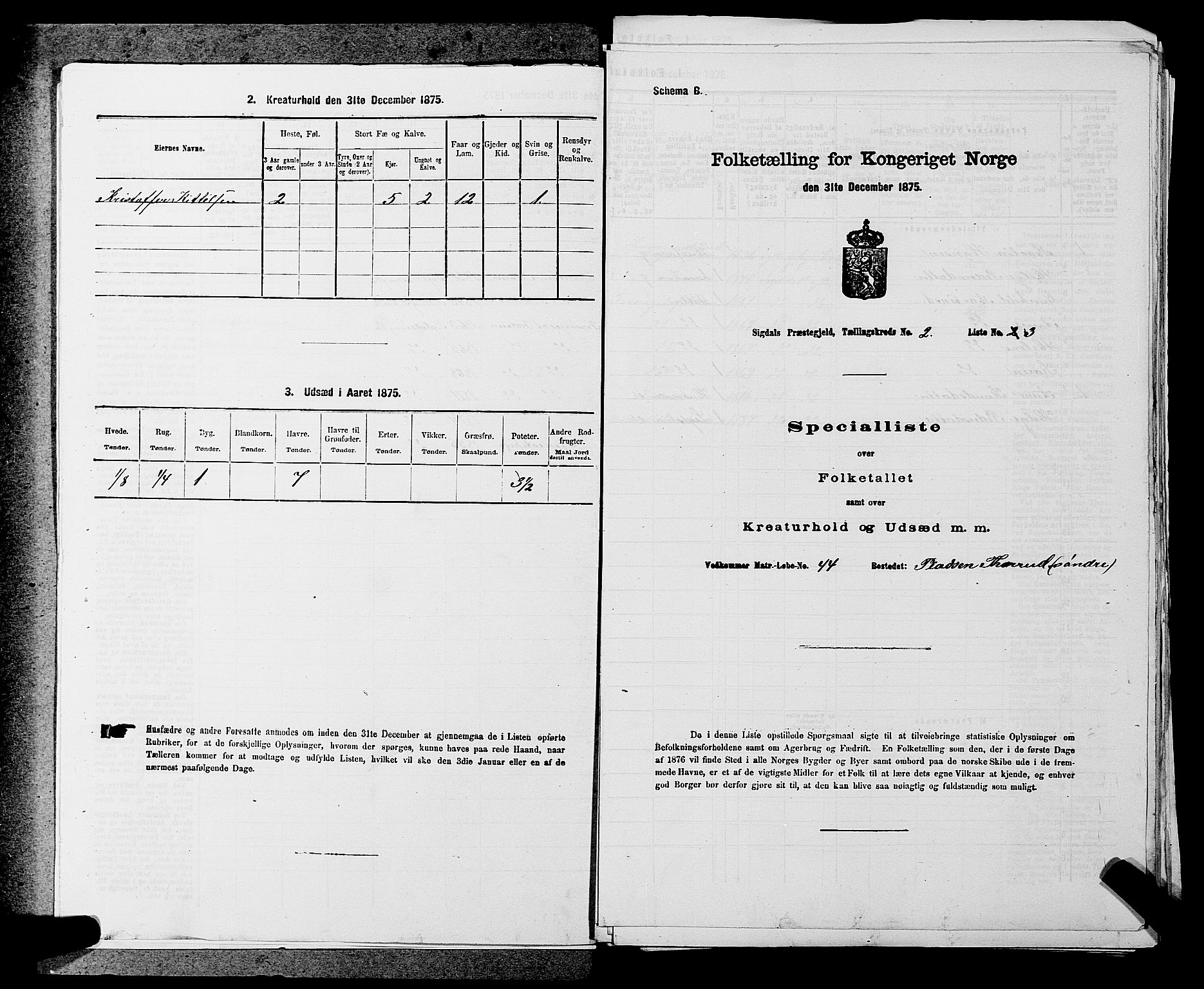 SAKO, 1875 census for 0621P Sigdal, 1875, p. 315