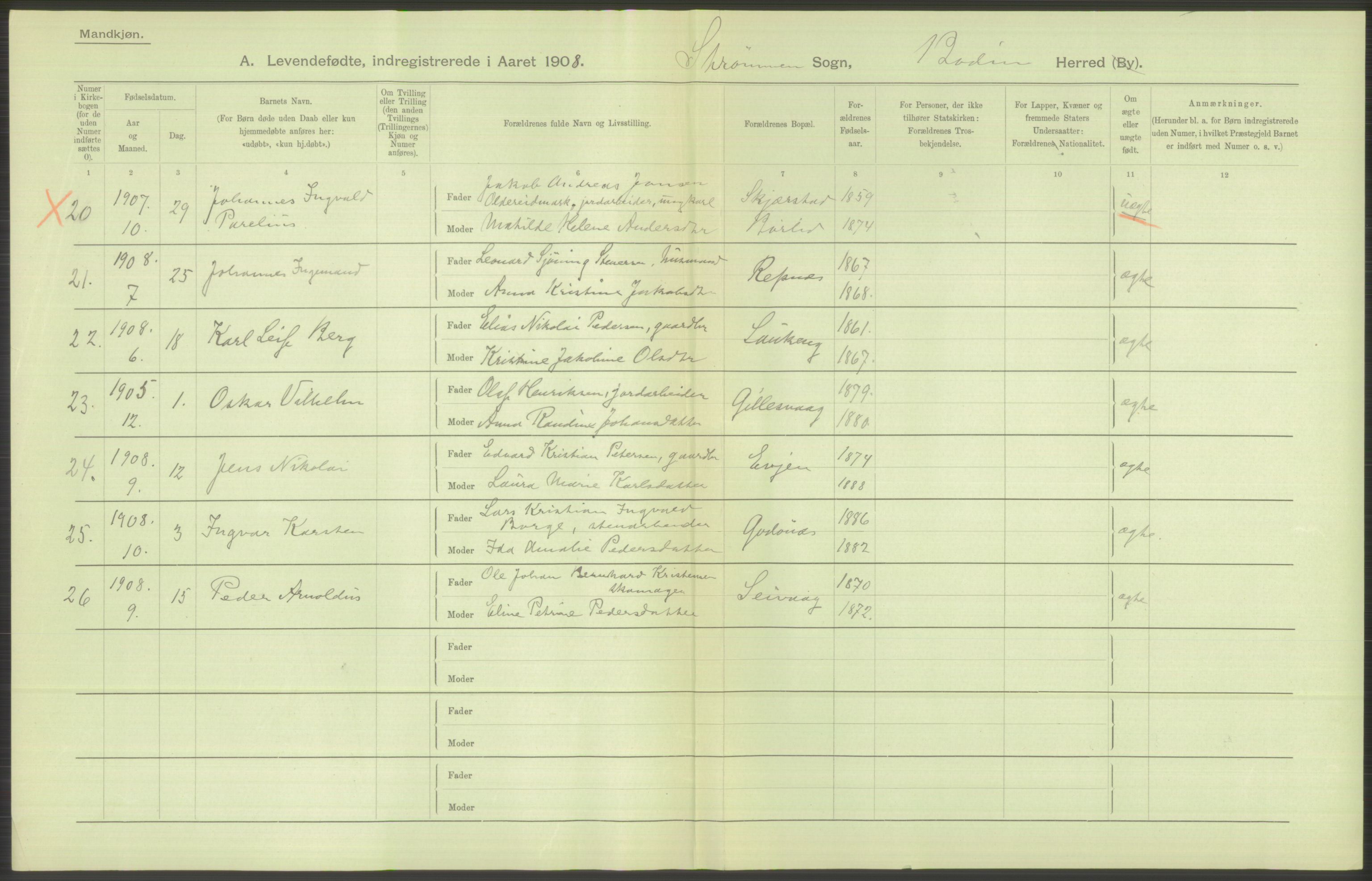 Statistisk sentralbyrå, Sosiodemografiske emner, Befolkning, AV/RA-S-2228/D/Df/Dfa/Dfaf/L0043: Nordlands amt: Levendefødte menn og kvinner. Bygder., 1908, p. 32