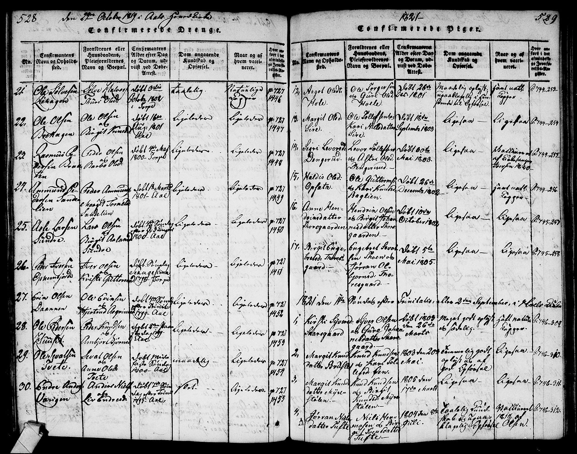 Ål kirkebøker, AV/SAKO-A-249/G/Ga/L0001: Parish register (copy) no. 1, 1815-1829, p. 528-529