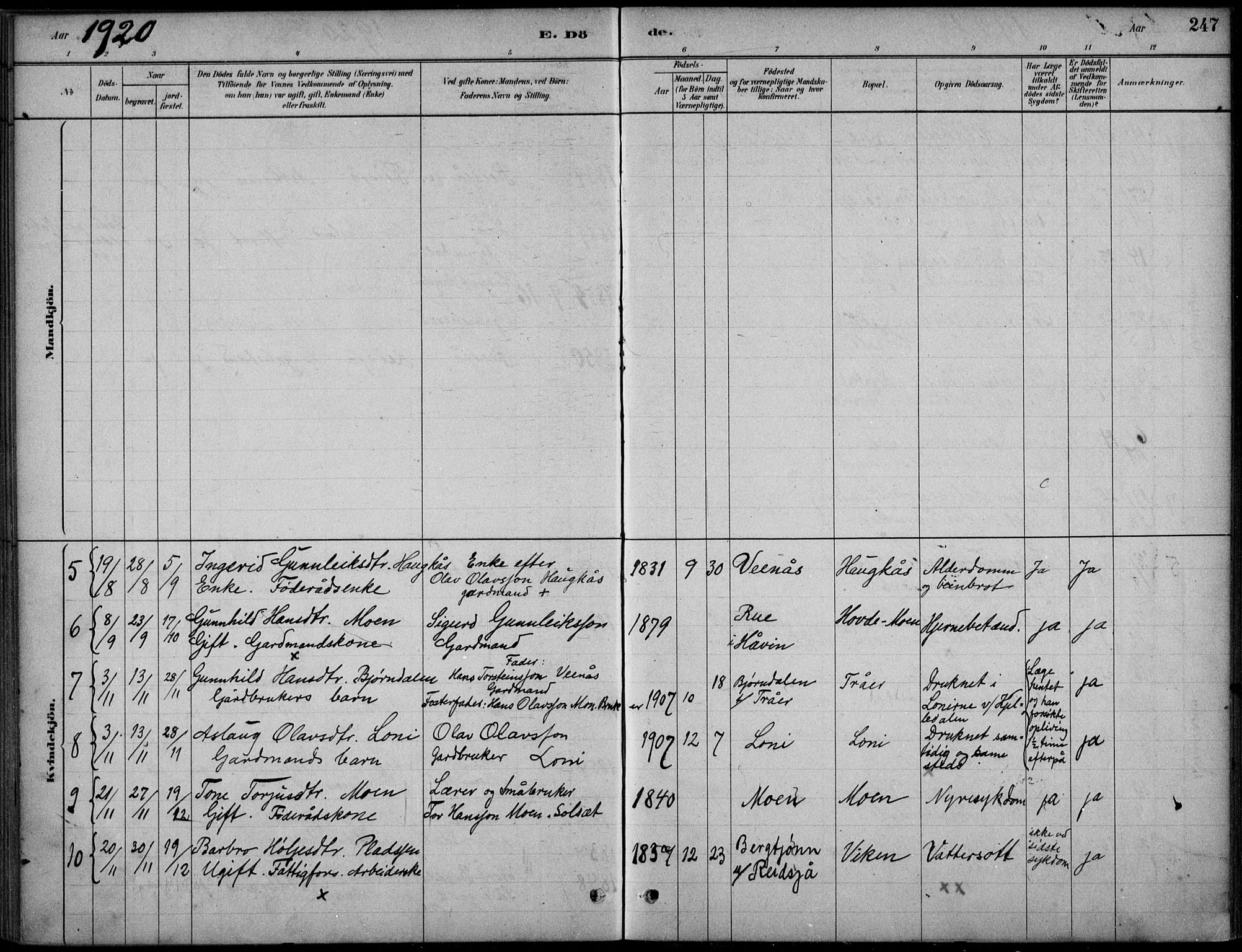 Hjartdal kirkebøker, SAKO/A-270/F/Fc/L0002: Parish register (official) no. III 2, 1880-1936, p. 247