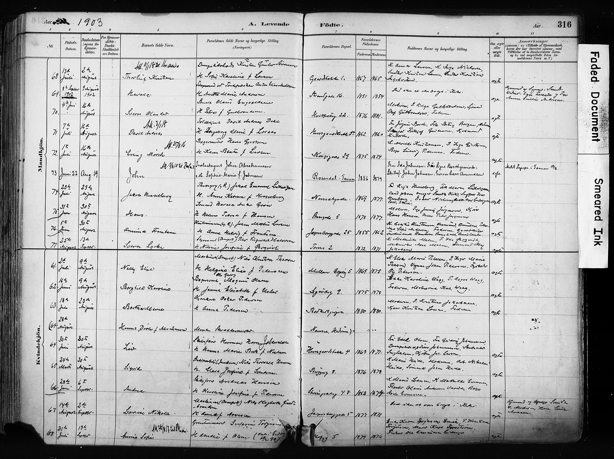 Larvik kirkebøker, SAKO/A-352/F/Fa/L0009: Parish register (official) no. I 9, 1884-1904, p. 316