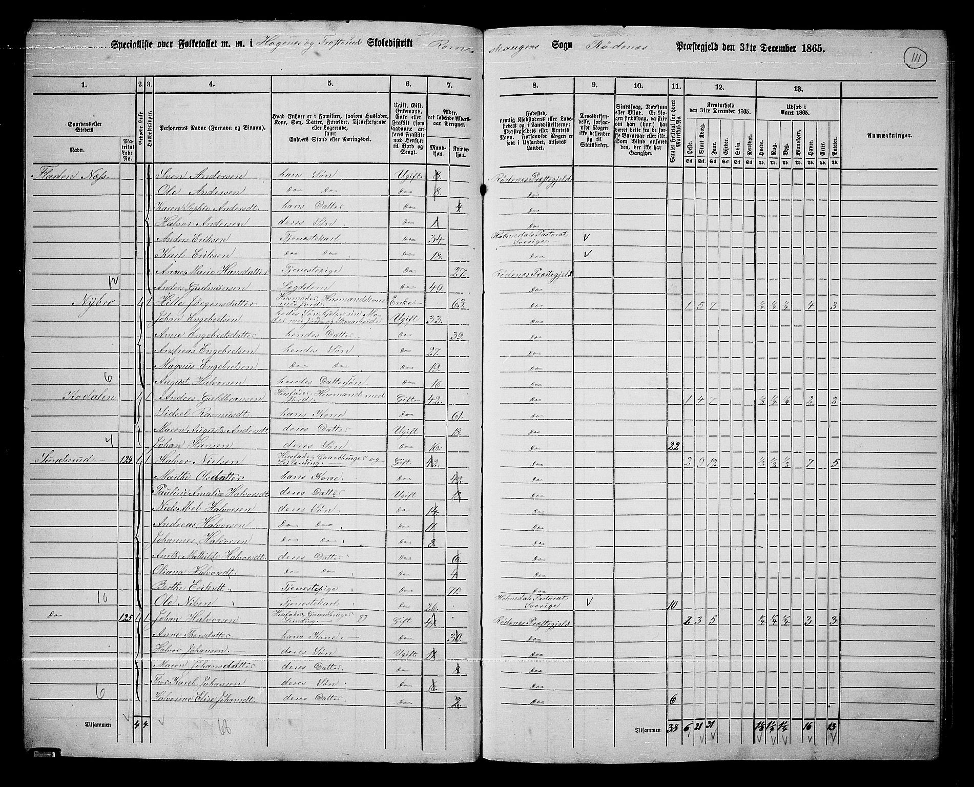 RA, 1865 census for Rødenes, 1865, p. 96