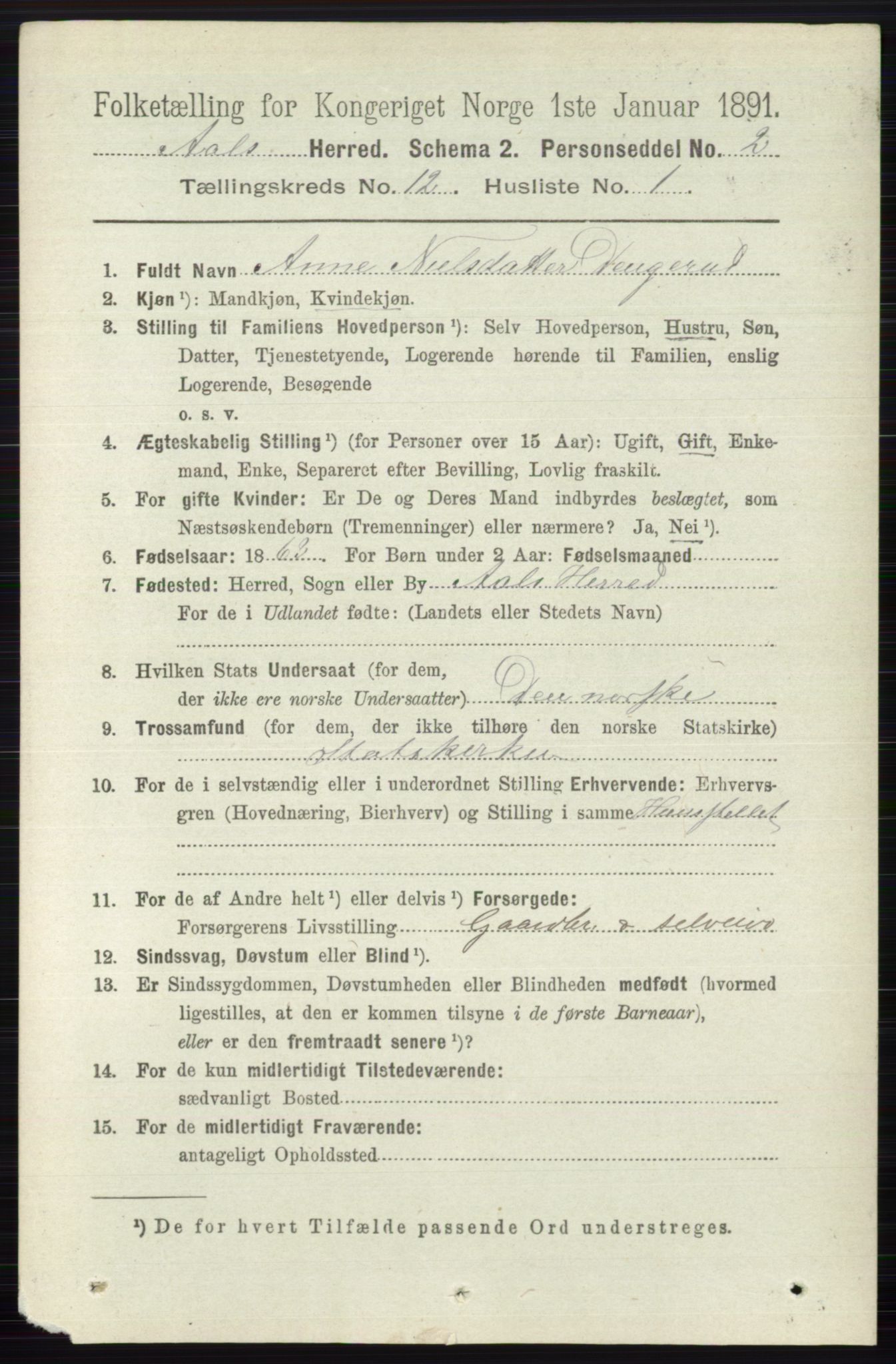 RA, 1891 census for 0619 Ål, 1891, p. 3008