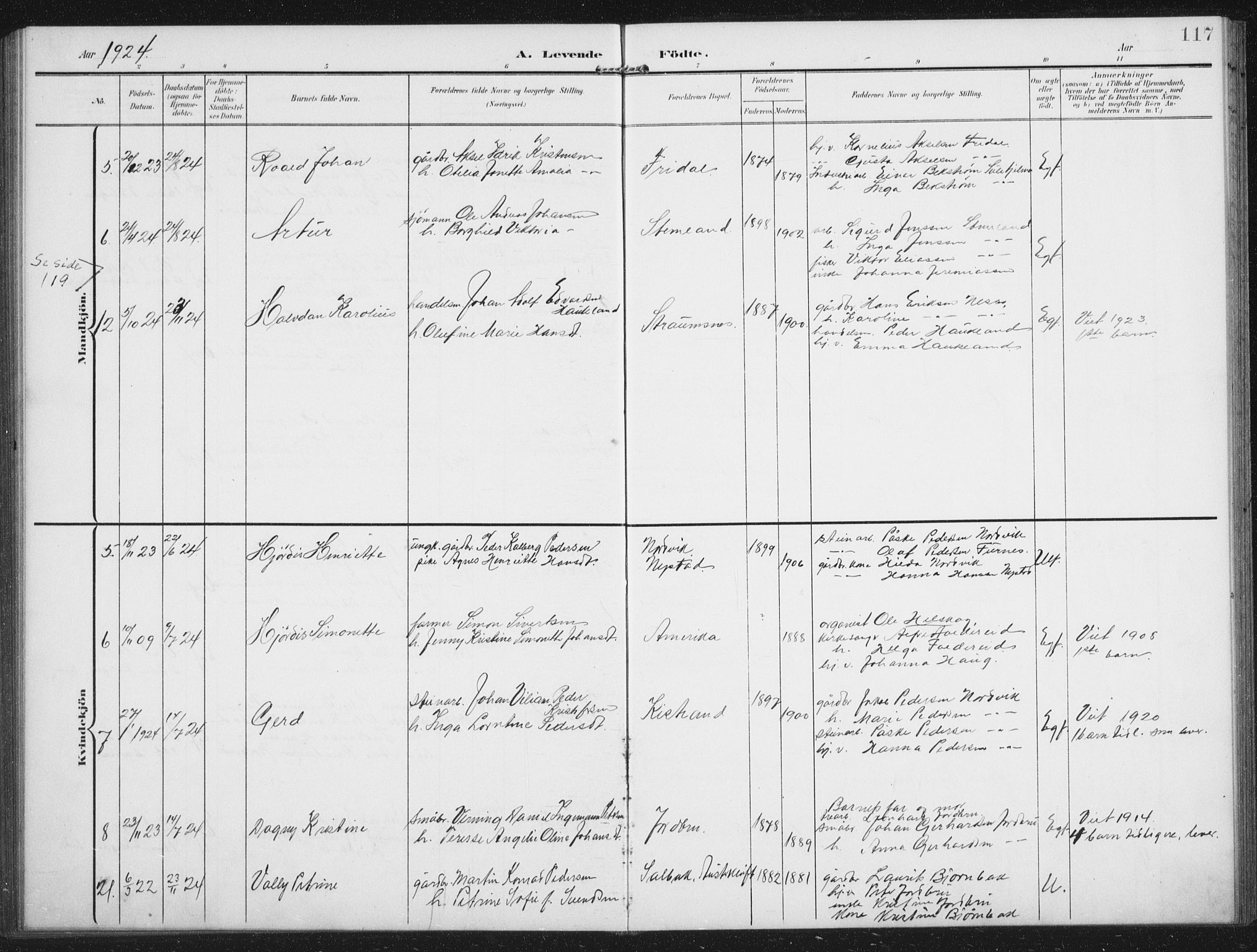 Ministerialprotokoller, klokkerbøker og fødselsregistre - Nordland, AV/SAT-A-1459/851/L0726: Parish register (copy) no. 851C01, 1902-1924, p. 117