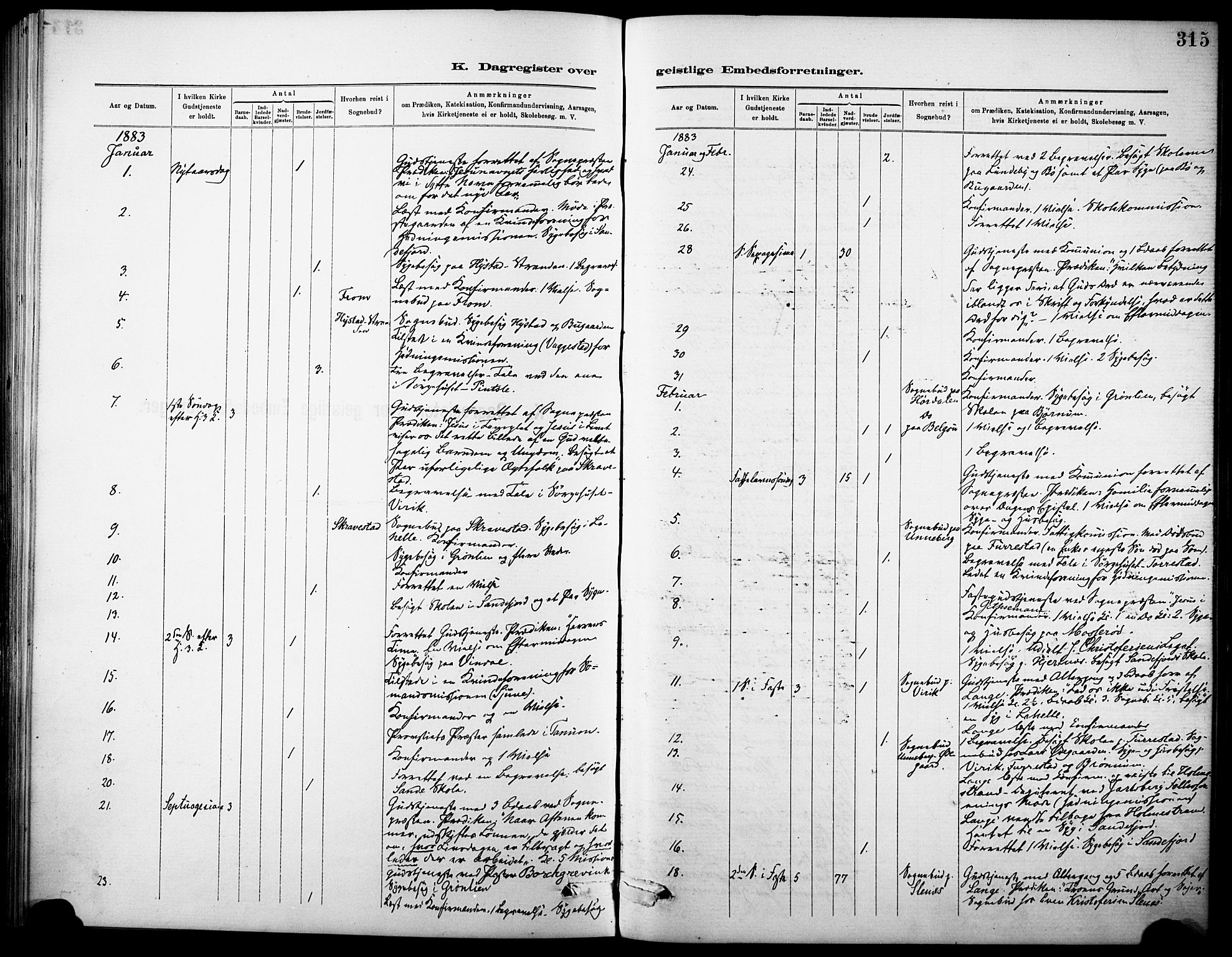 Sandar kirkebøker, SAKO/A-243/F/Fa/L0013: Parish register (official) no. 13, 1883-1895, p. 315