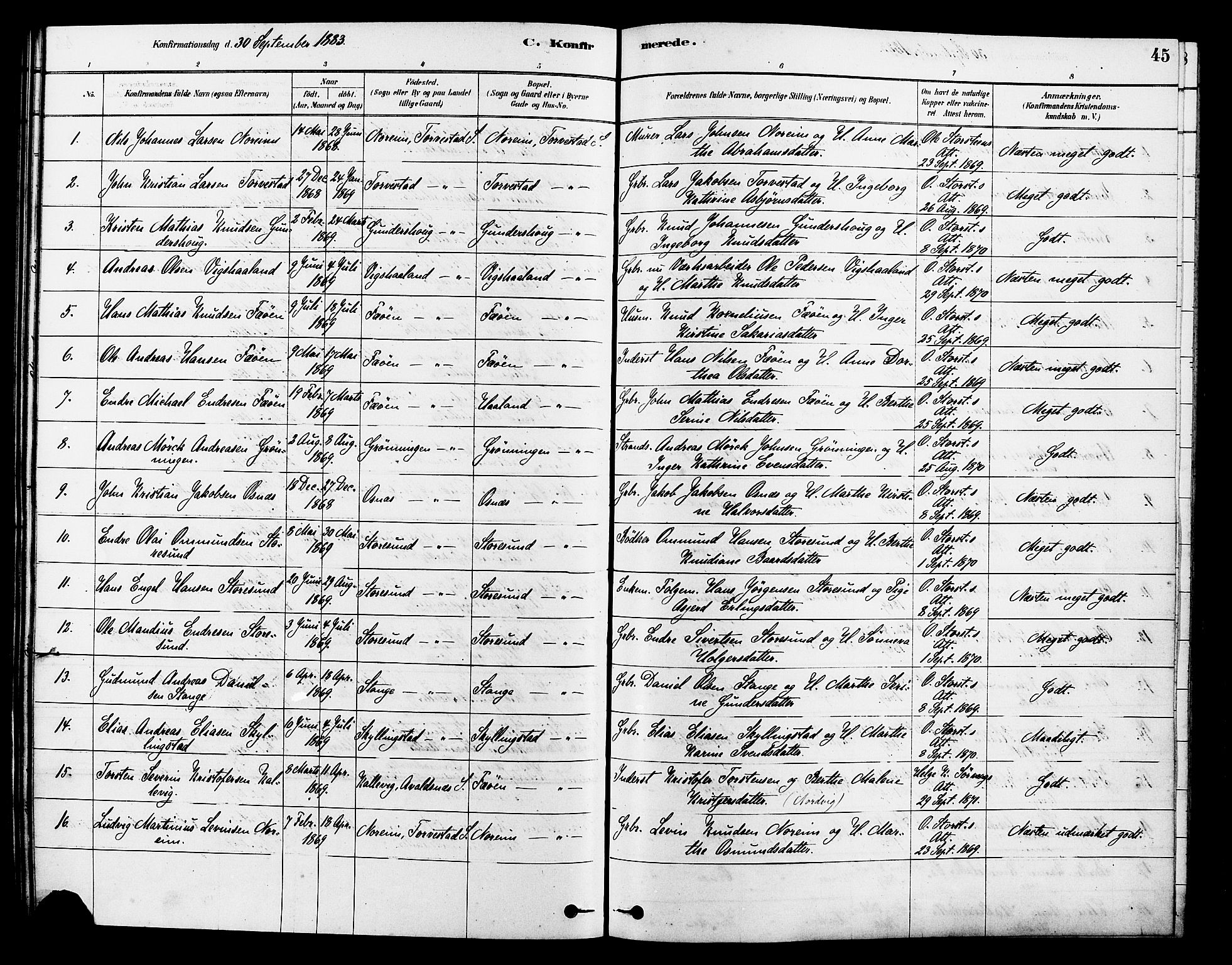 Torvastad sokneprestkontor, SAST/A -101857/H/Ha/Haa/L0014: Parish register (official) no. A 13, 1879-1888, p. 45