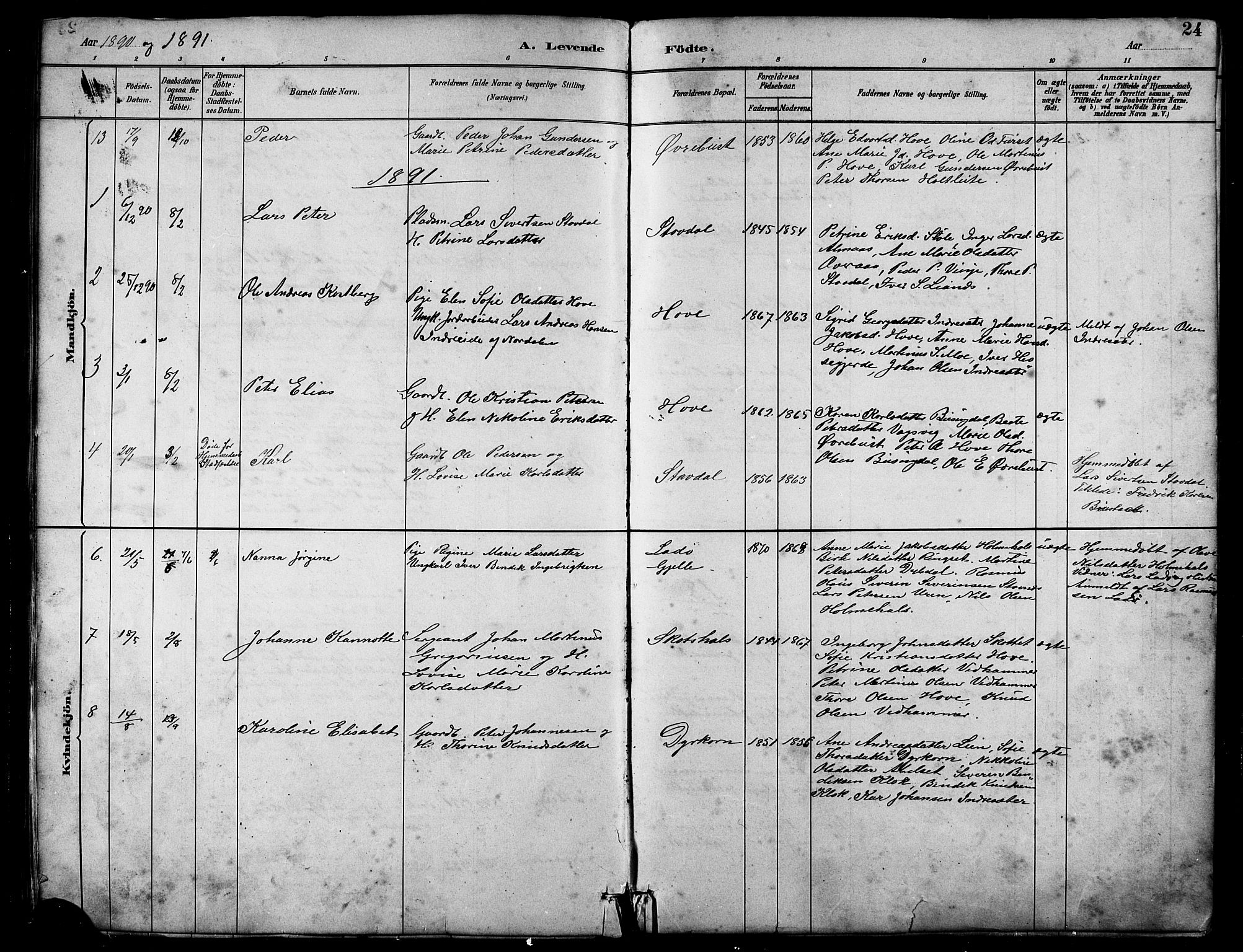 Ministerialprotokoller, klokkerbøker og fødselsregistre - Møre og Romsdal, AV/SAT-A-1454/521/L0302: Parish register (copy) no. 521C03, 1882-1907, p. 24