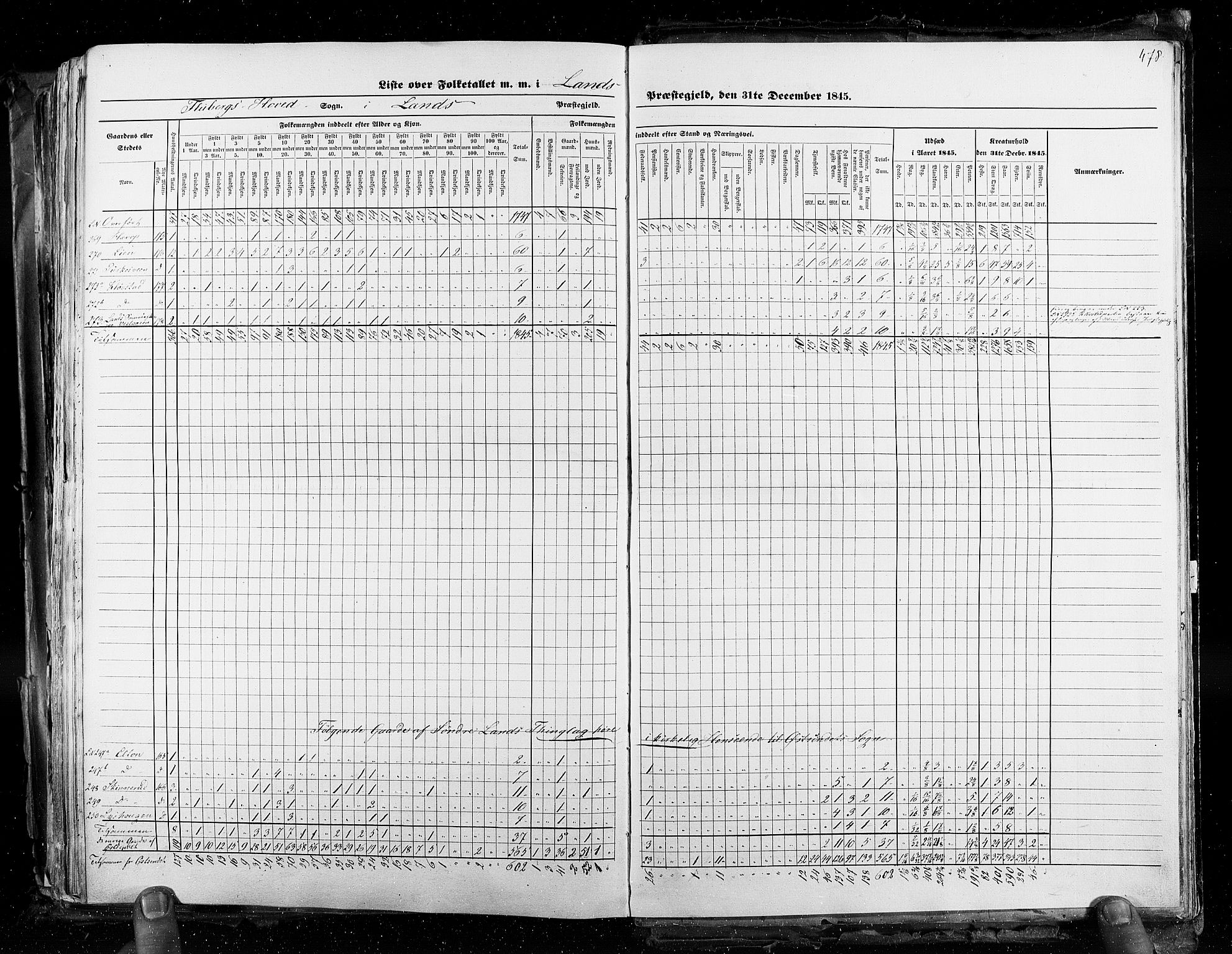 RA, Census 1845, vol. 3: Hedemarken amt og Kristians amt, 1845, p. 478