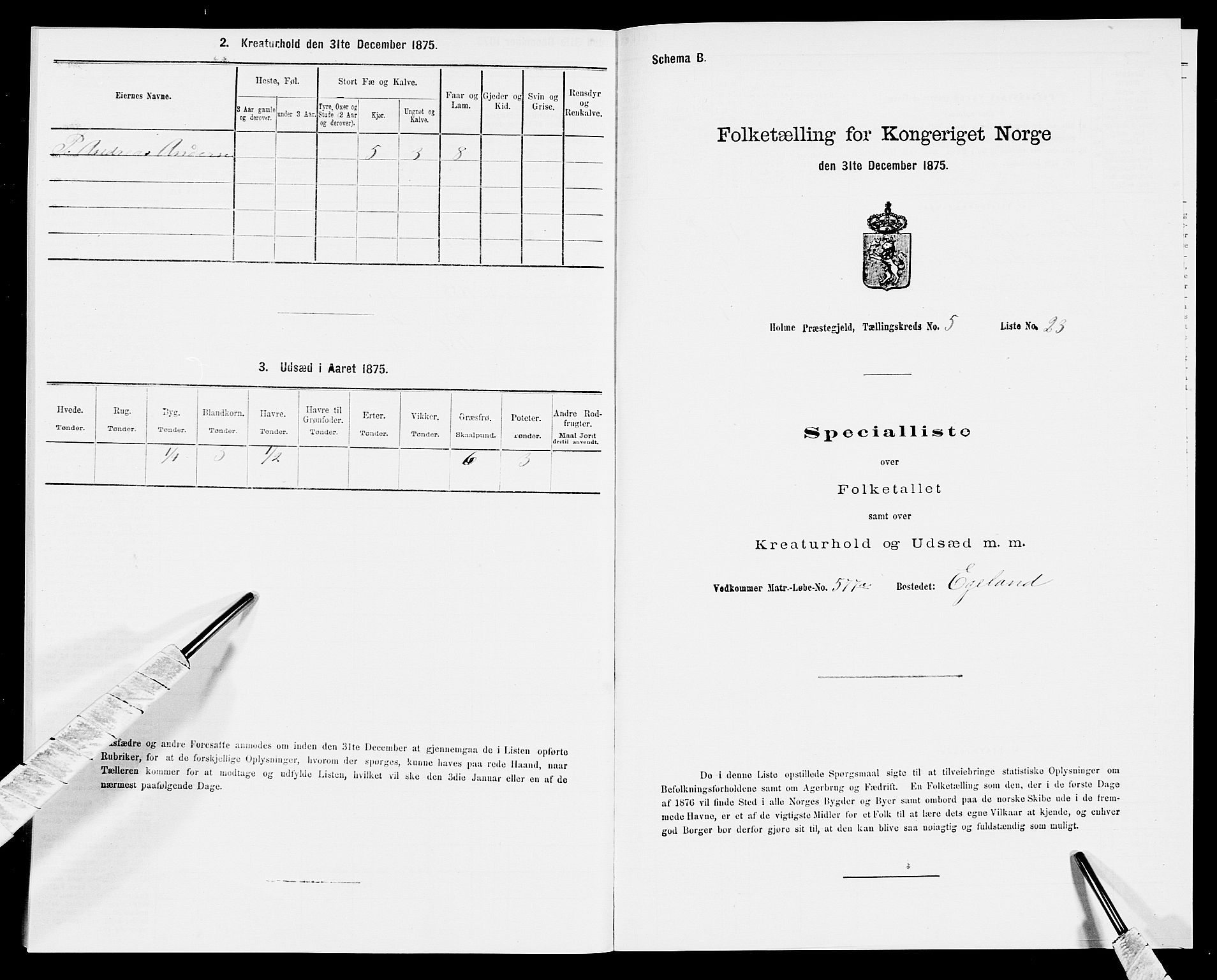 SAK, 1875 census for 1020P Holum, 1875, p. 569