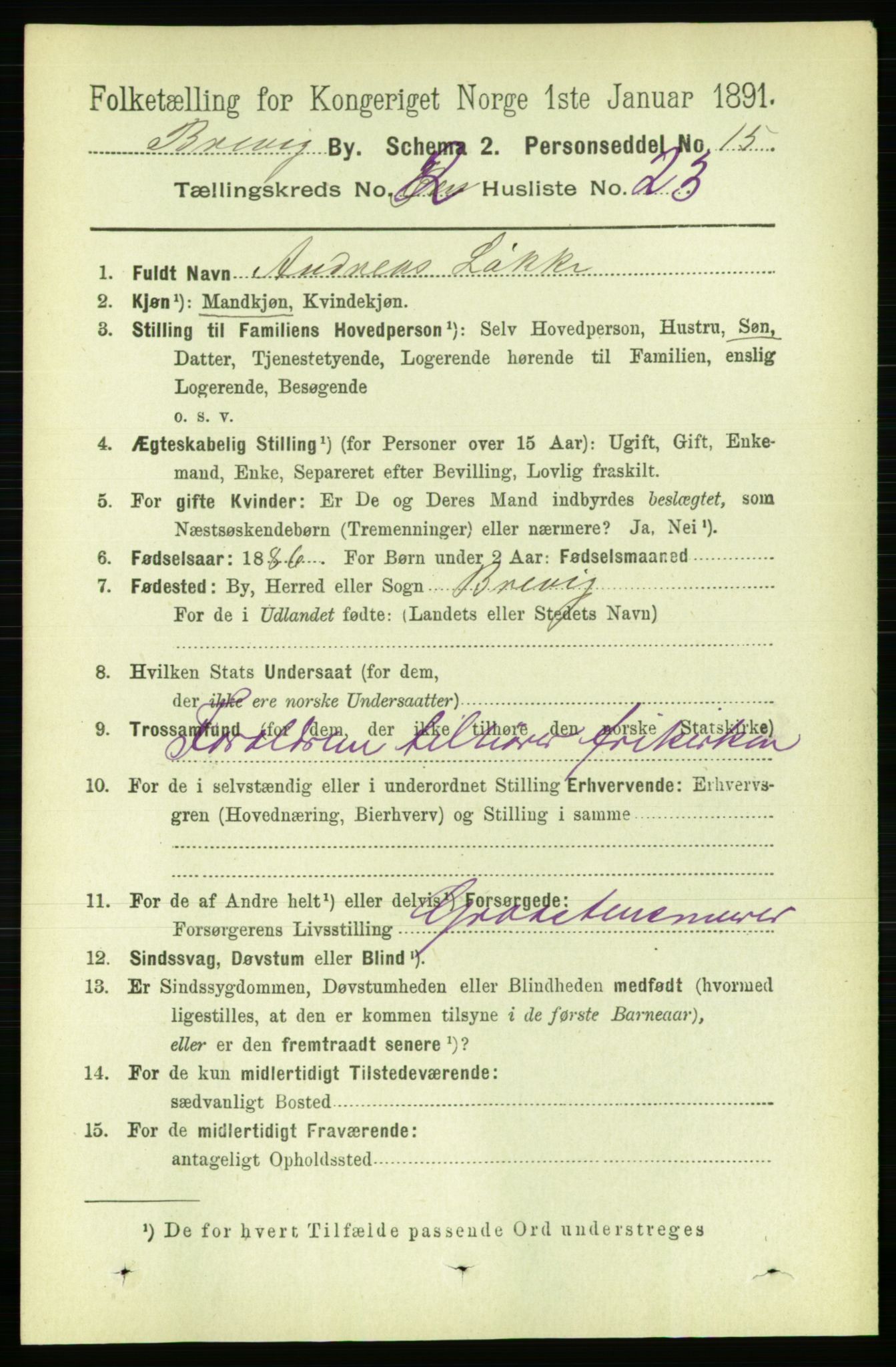 RA, 1891 census for 0804 Brevik, 1891, p. 1754