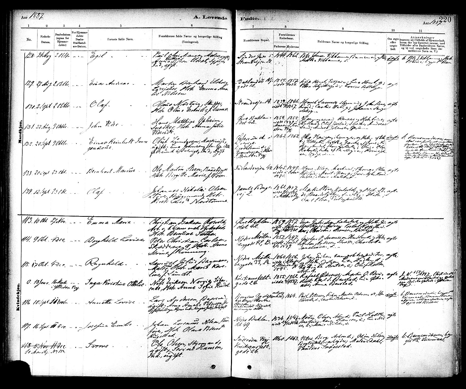 Ministerialprotokoller, klokkerbøker og fødselsregistre - Sør-Trøndelag, SAT/A-1456/604/L0188: Parish register (official) no. 604A09, 1878-1892, p. 220