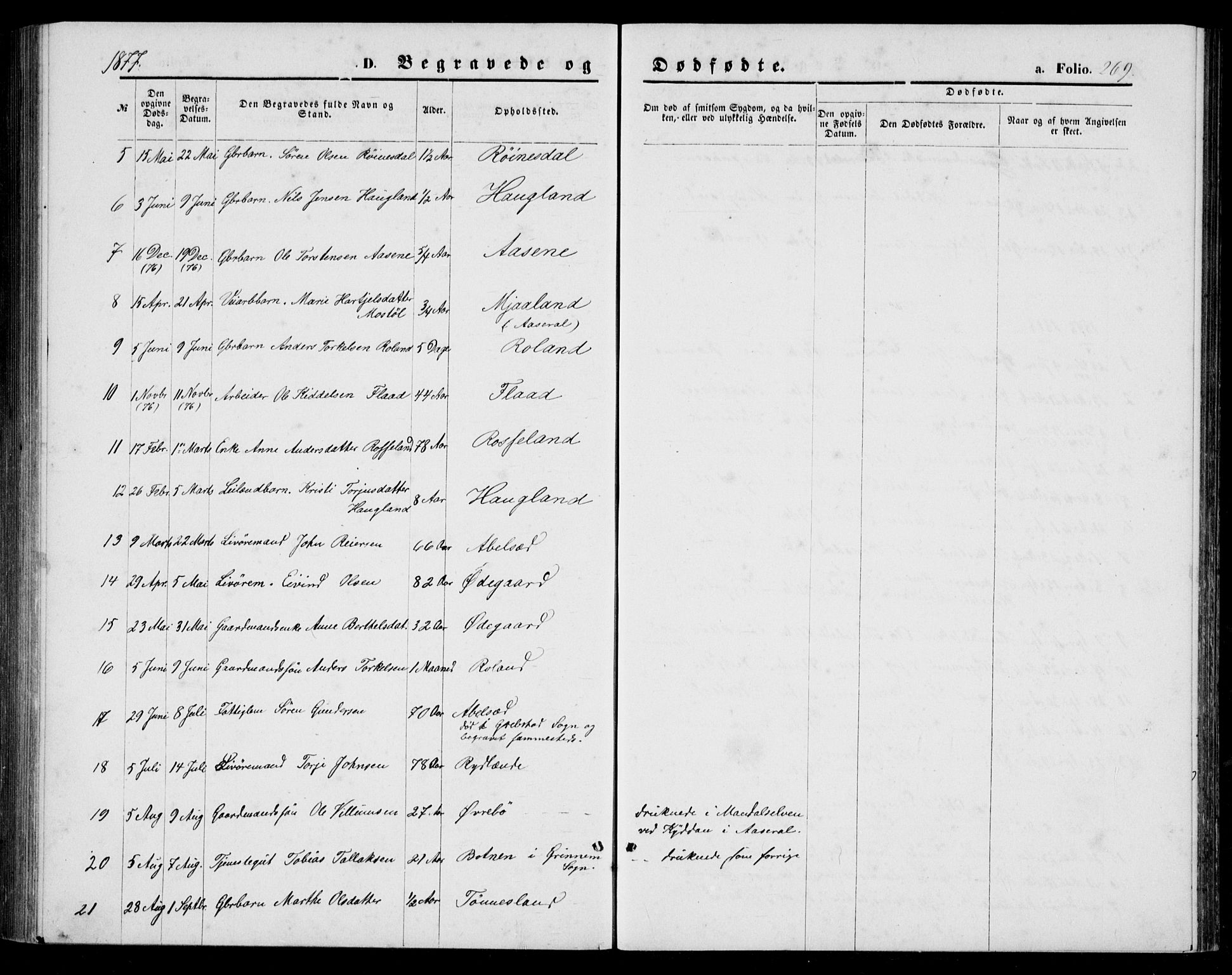 Bjelland sokneprestkontor, AV/SAK-1111-0005/F/Fb/Fba/L0004: Parish register (copy) no. B 4, 1869-1886, p. 269