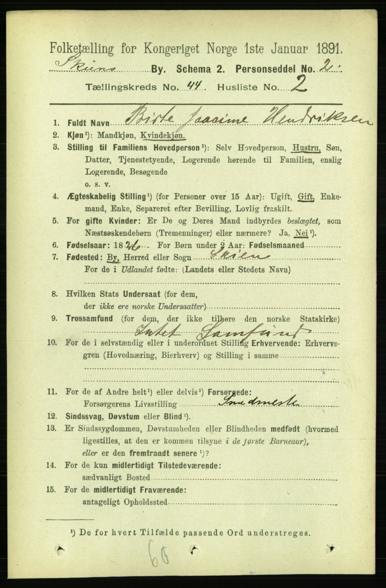 RA, 1891 census for 0806 Skien, 1891, p. 8779