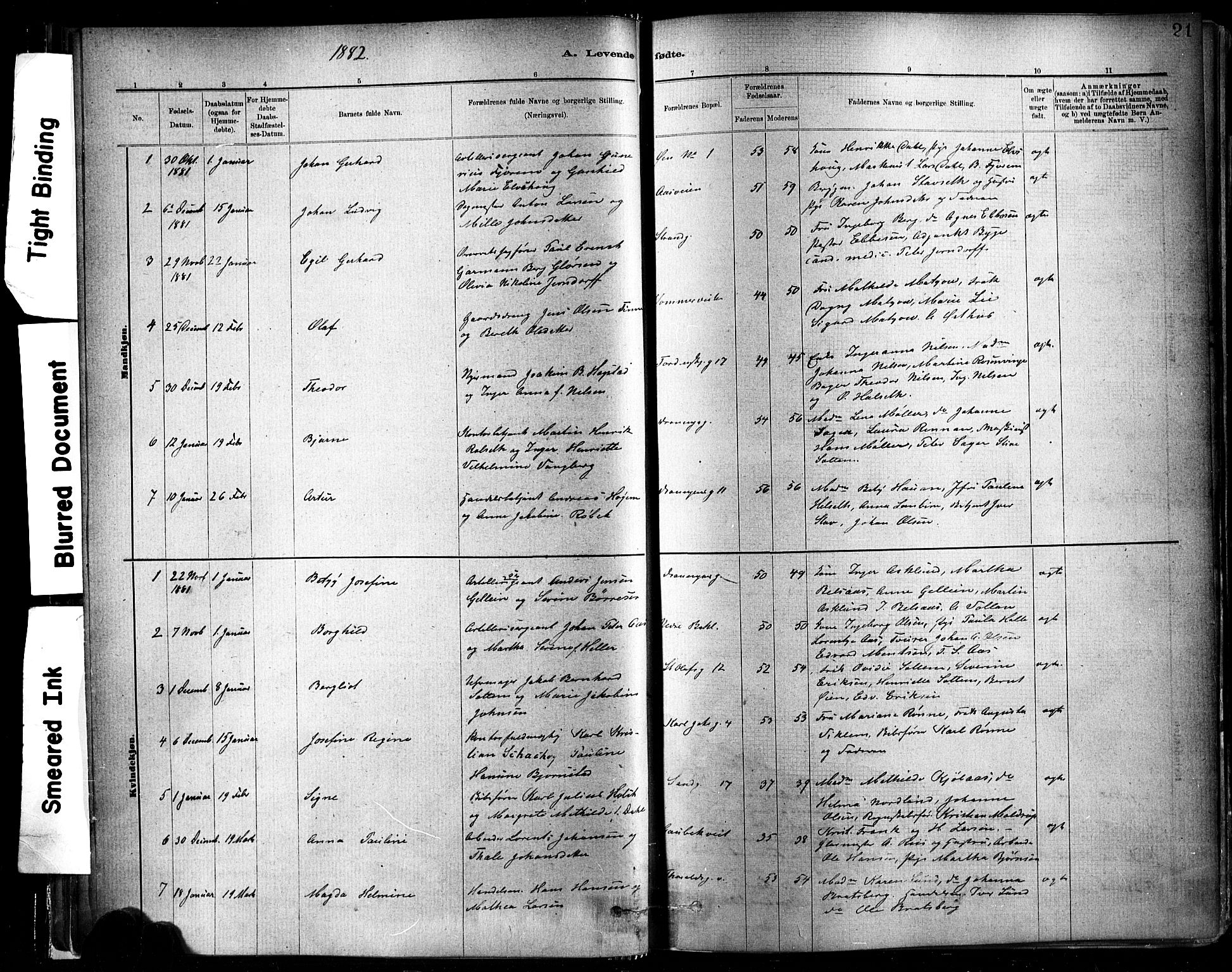 Ministerialprotokoller, klokkerbøker og fødselsregistre - Sør-Trøndelag, SAT/A-1456/602/L0119: Parish register (official) no. 602A17, 1880-1901, p. 21