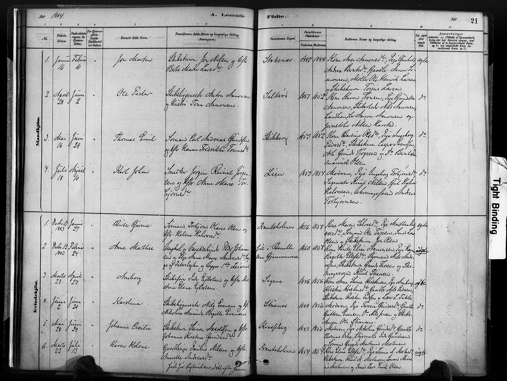 Austre Moland sokneprestkontor, SAK/1111-0001/F/Fa/Fab/L0001: Parish register (official) no. A 1, 1878-1898, p. 21