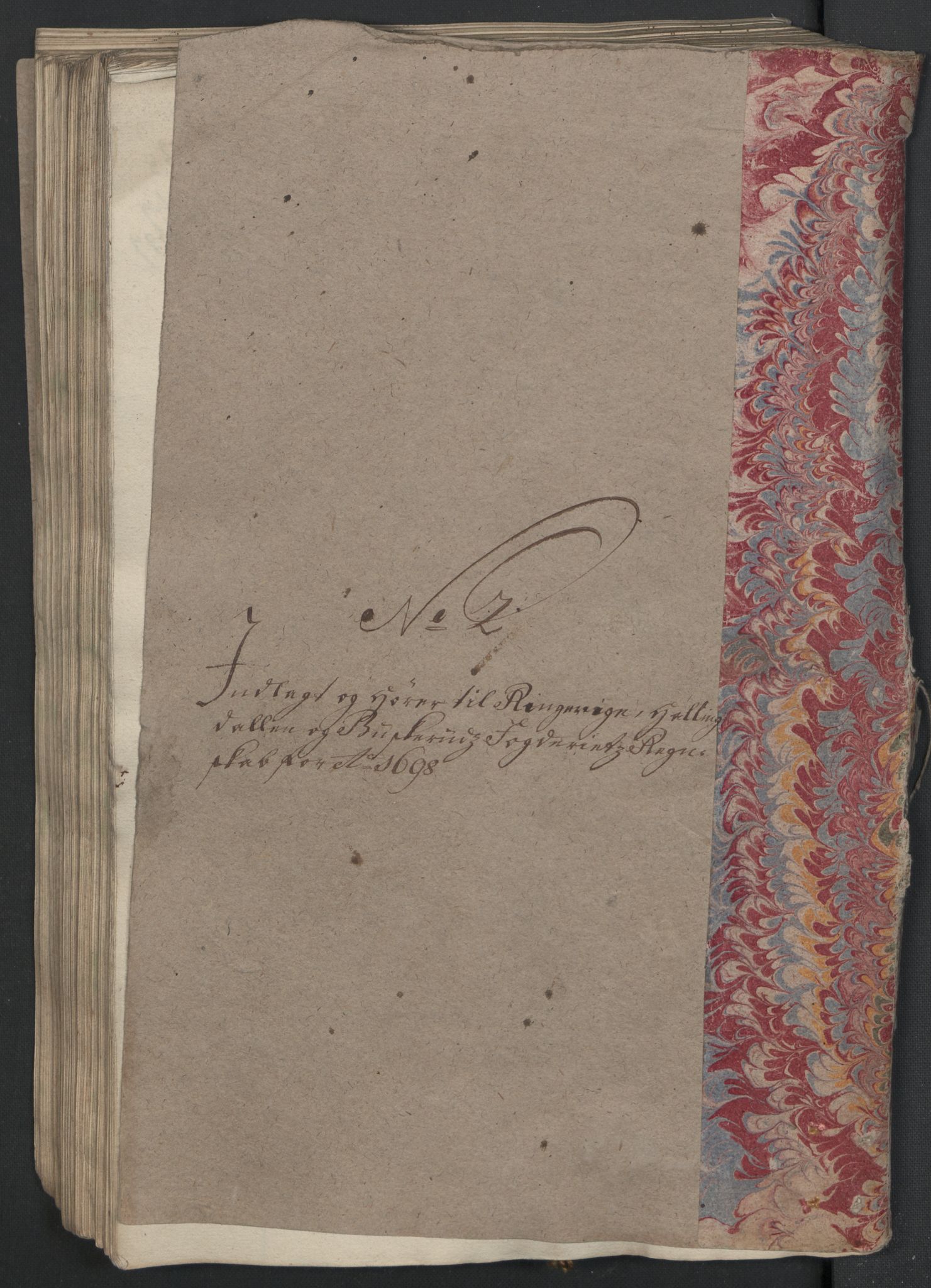 Rentekammeret inntil 1814, Reviderte regnskaper, Fogderegnskap, RA/EA-4092/R22/L1455: Fogderegnskap Ringerike, Hallingdal og Buskerud, 1698, p. 220